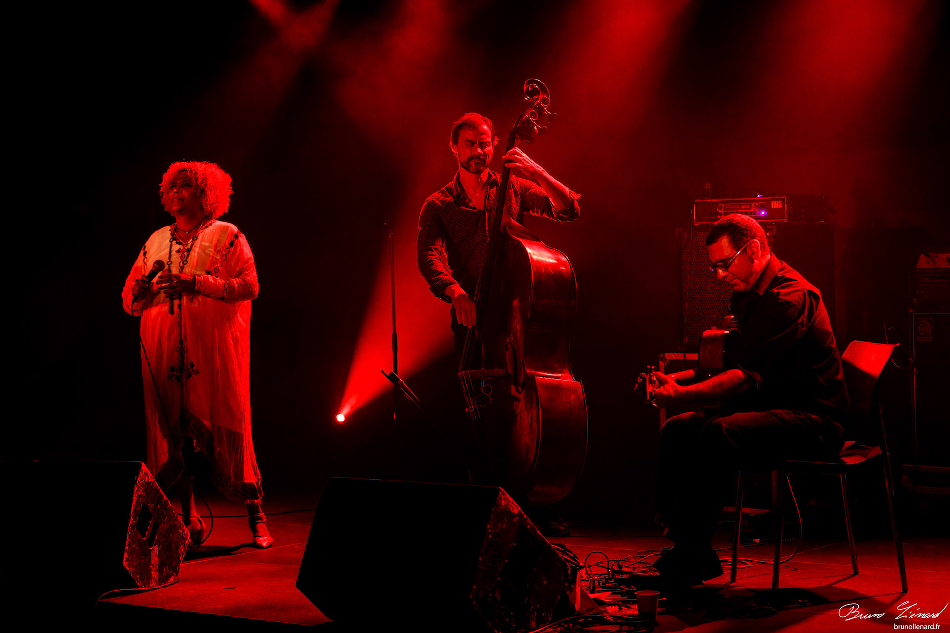 Eténèsh Wassié Trio