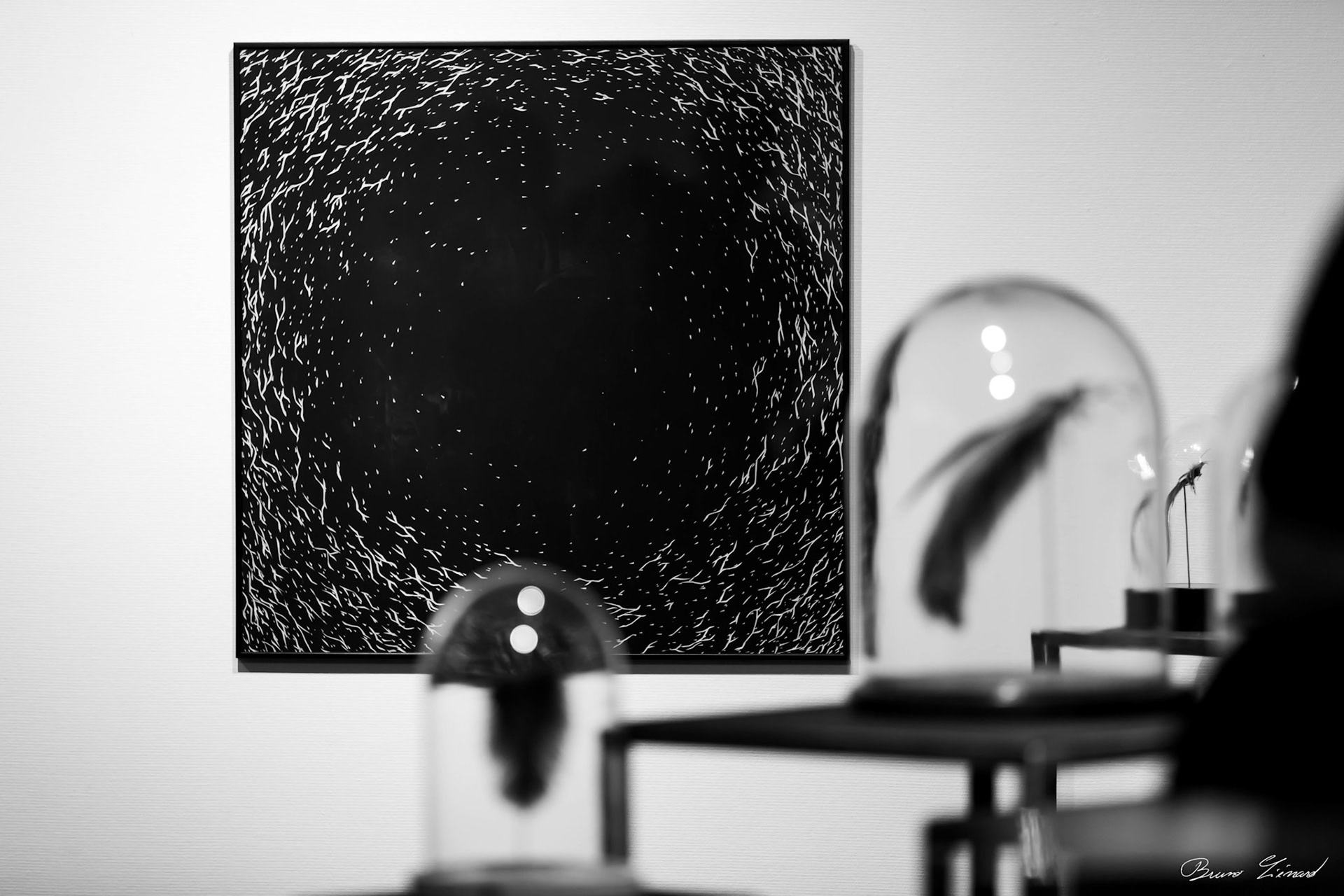 Les soleils noirs - Amandine Gollé