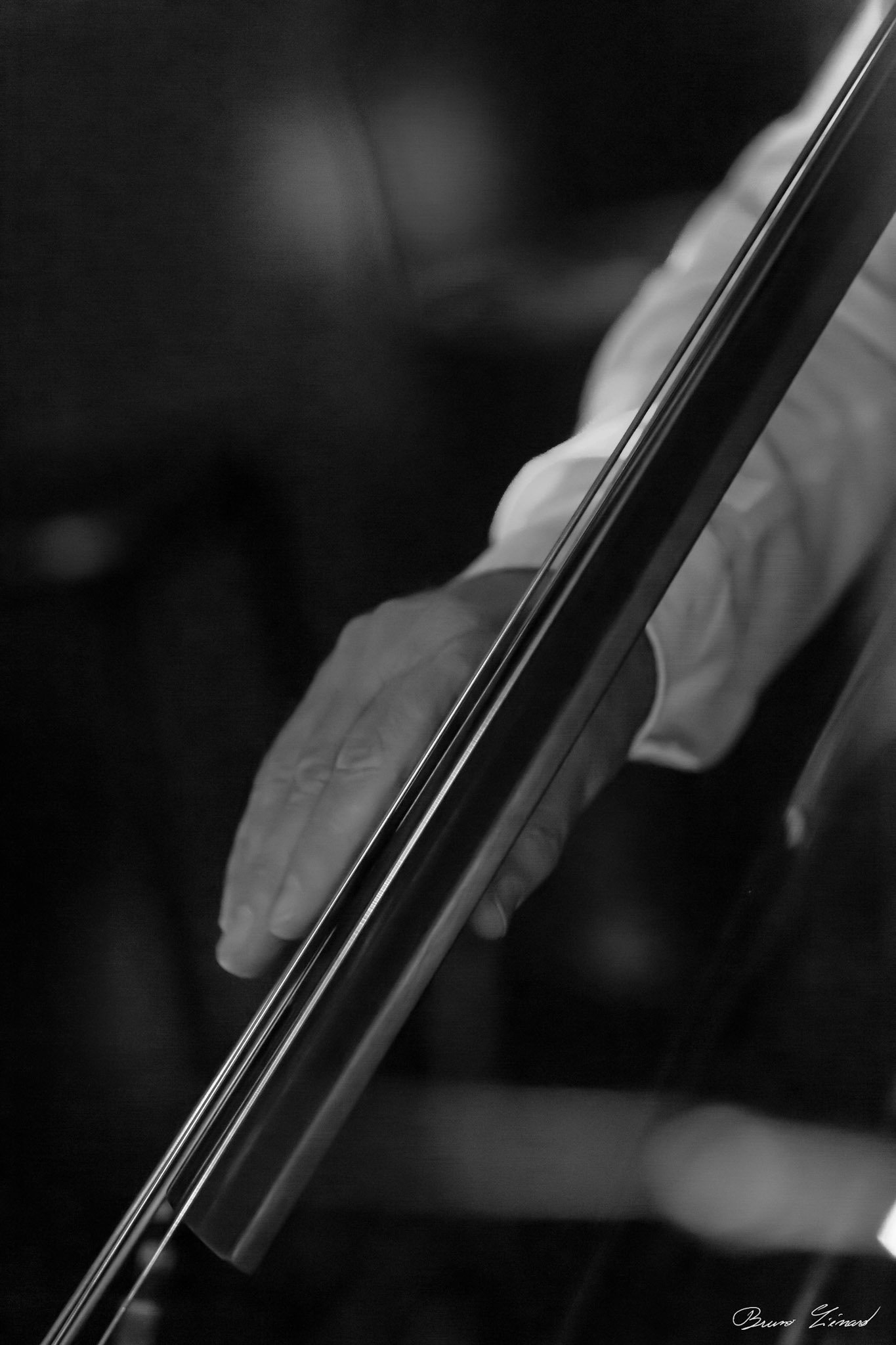 Comme a dit la serveuse - NJP 2019