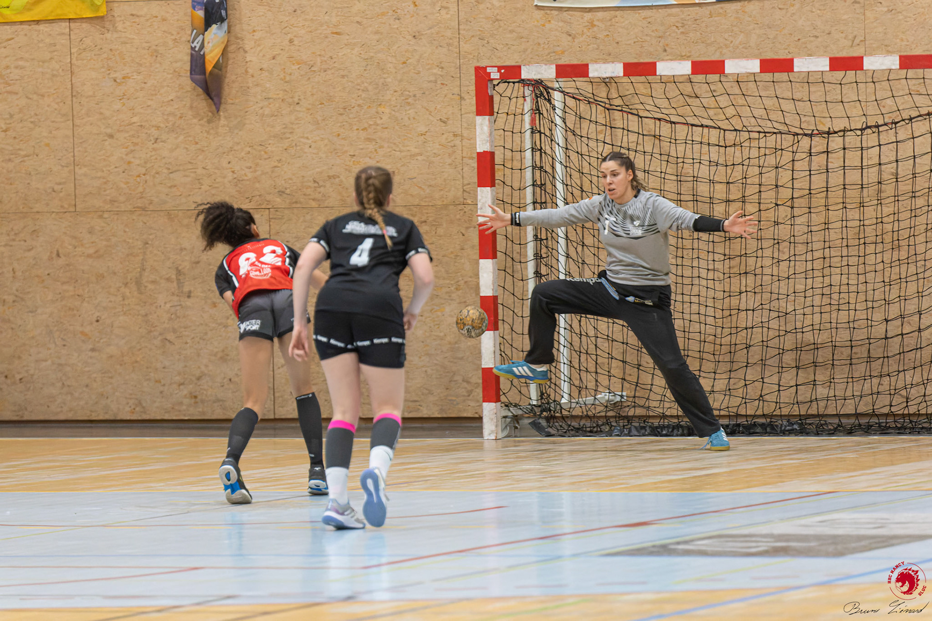 SF1 HBC SLUC Nancy - Colmar HC