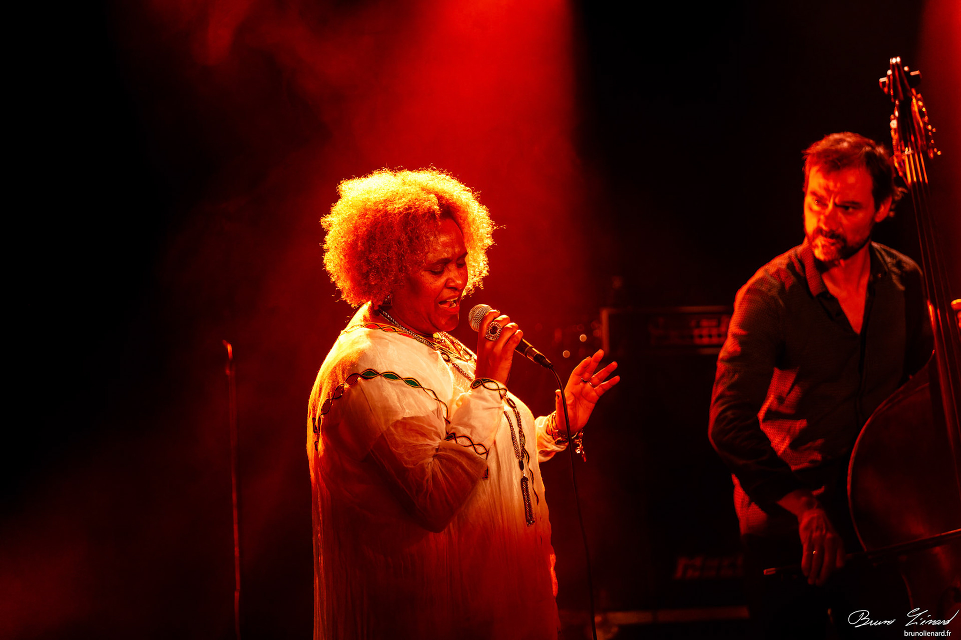 Eténèsh Wassié Trio