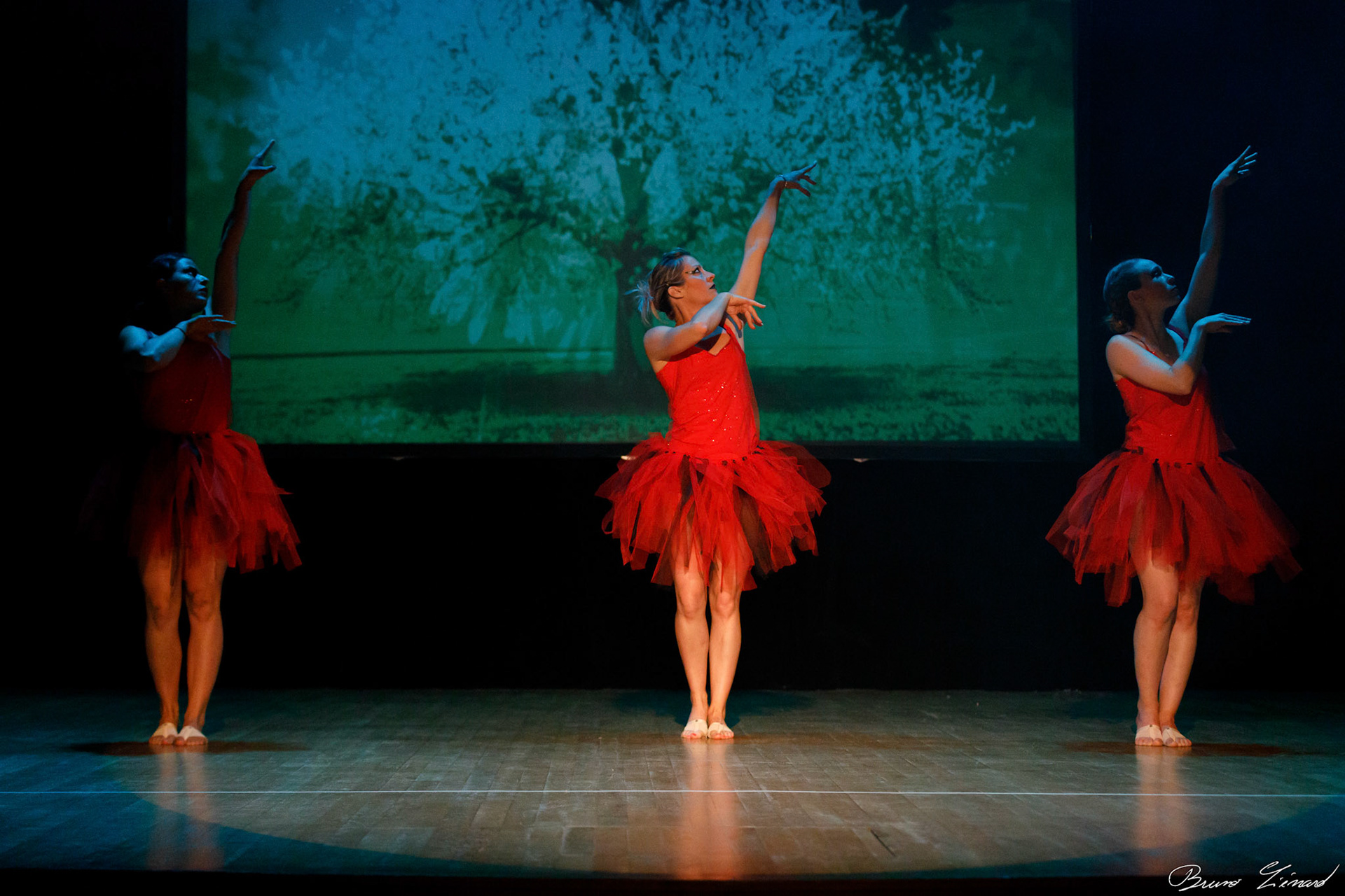 Répétitions DMA Sol Y Dance