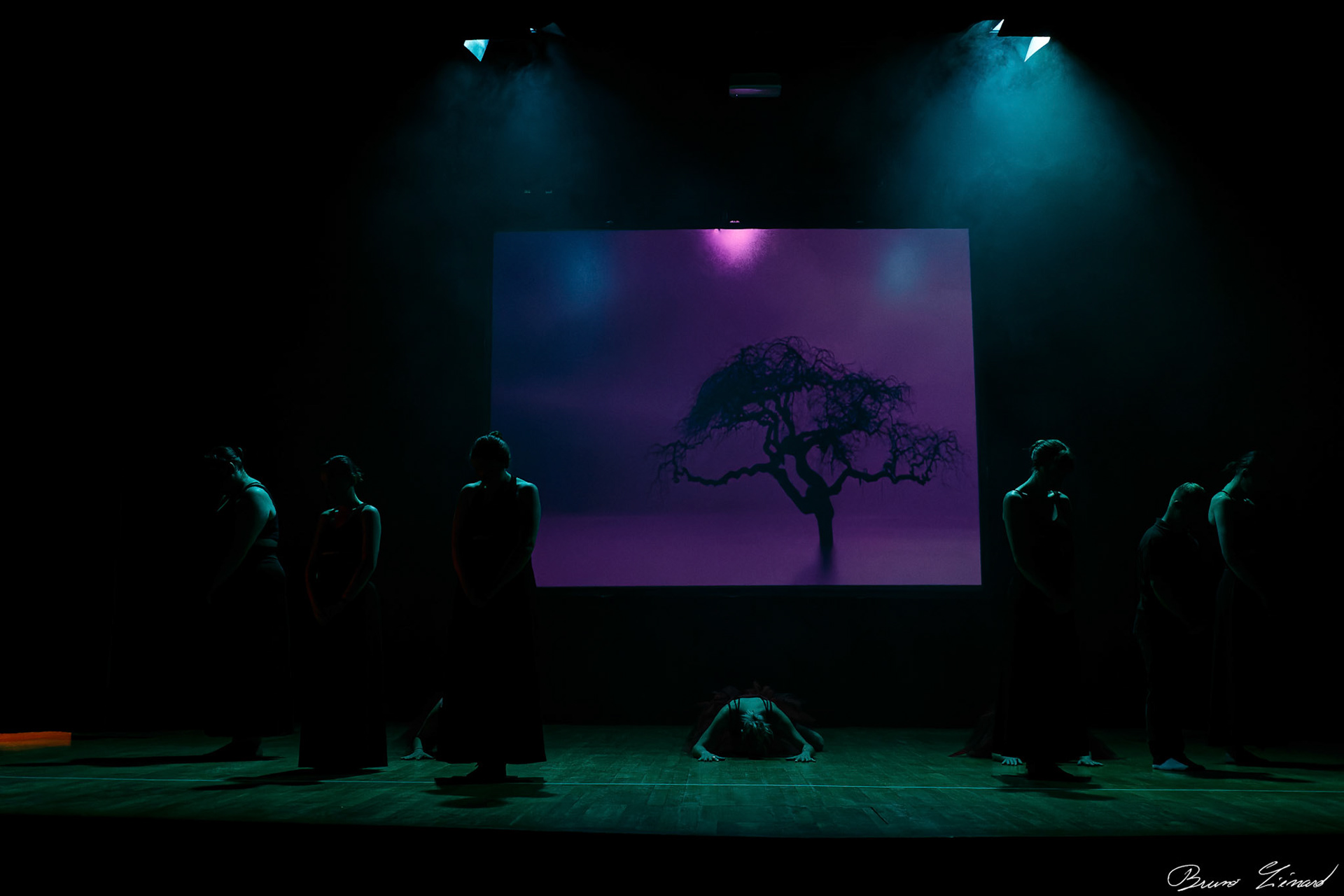 Répétitions DMA Sol Y Dance