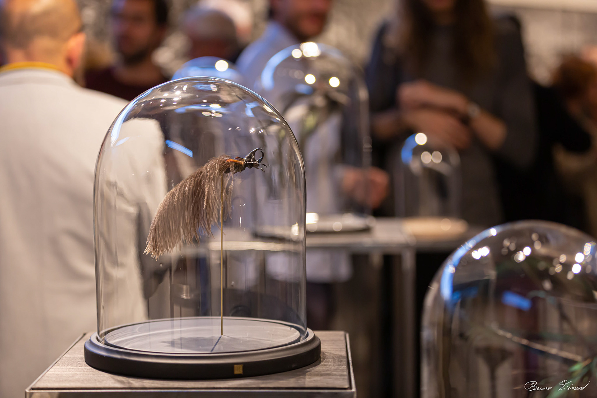 Les soleils noirs - Amandine Gollé