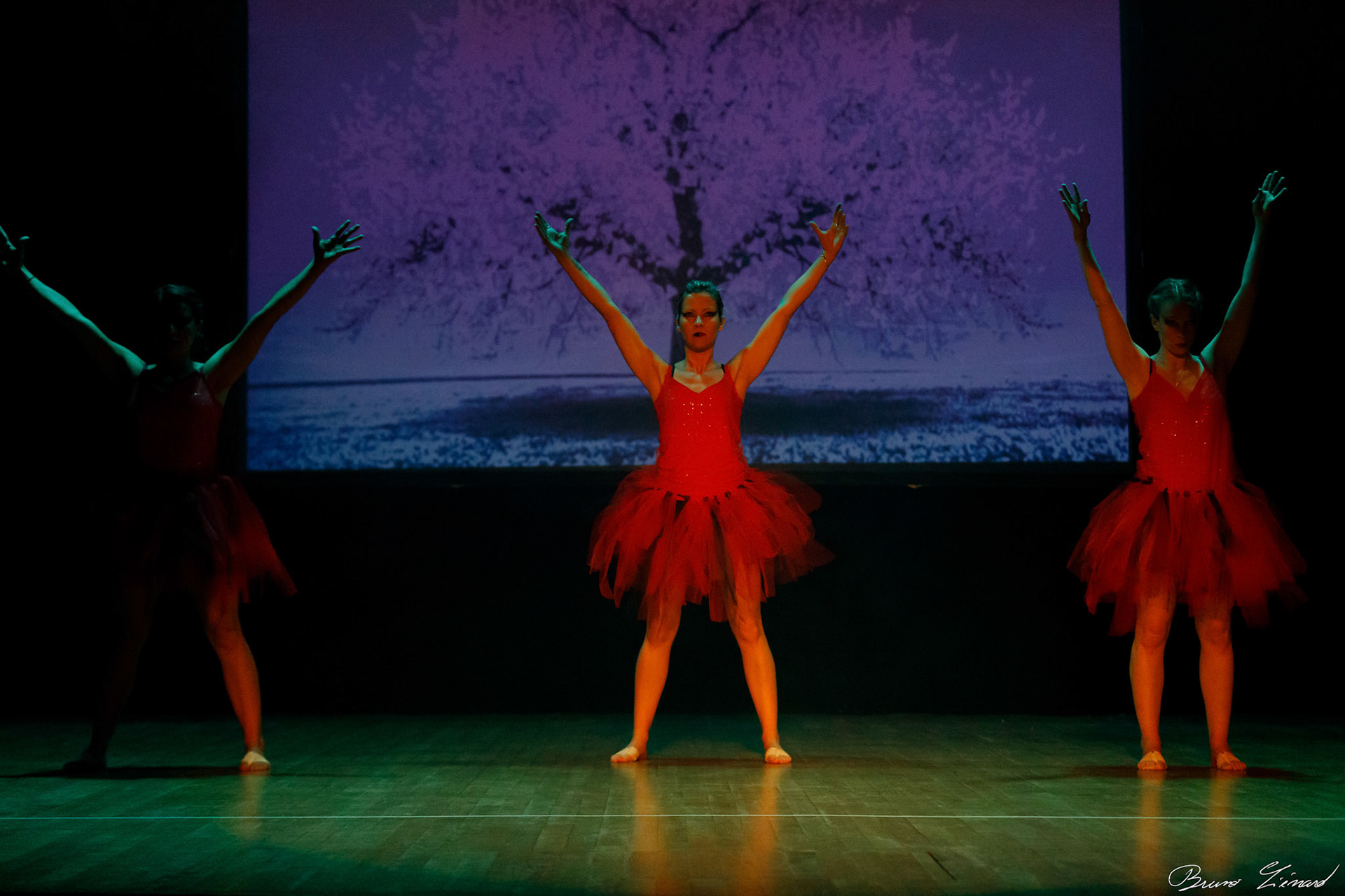 Répétitions DMA Sol Y Dance