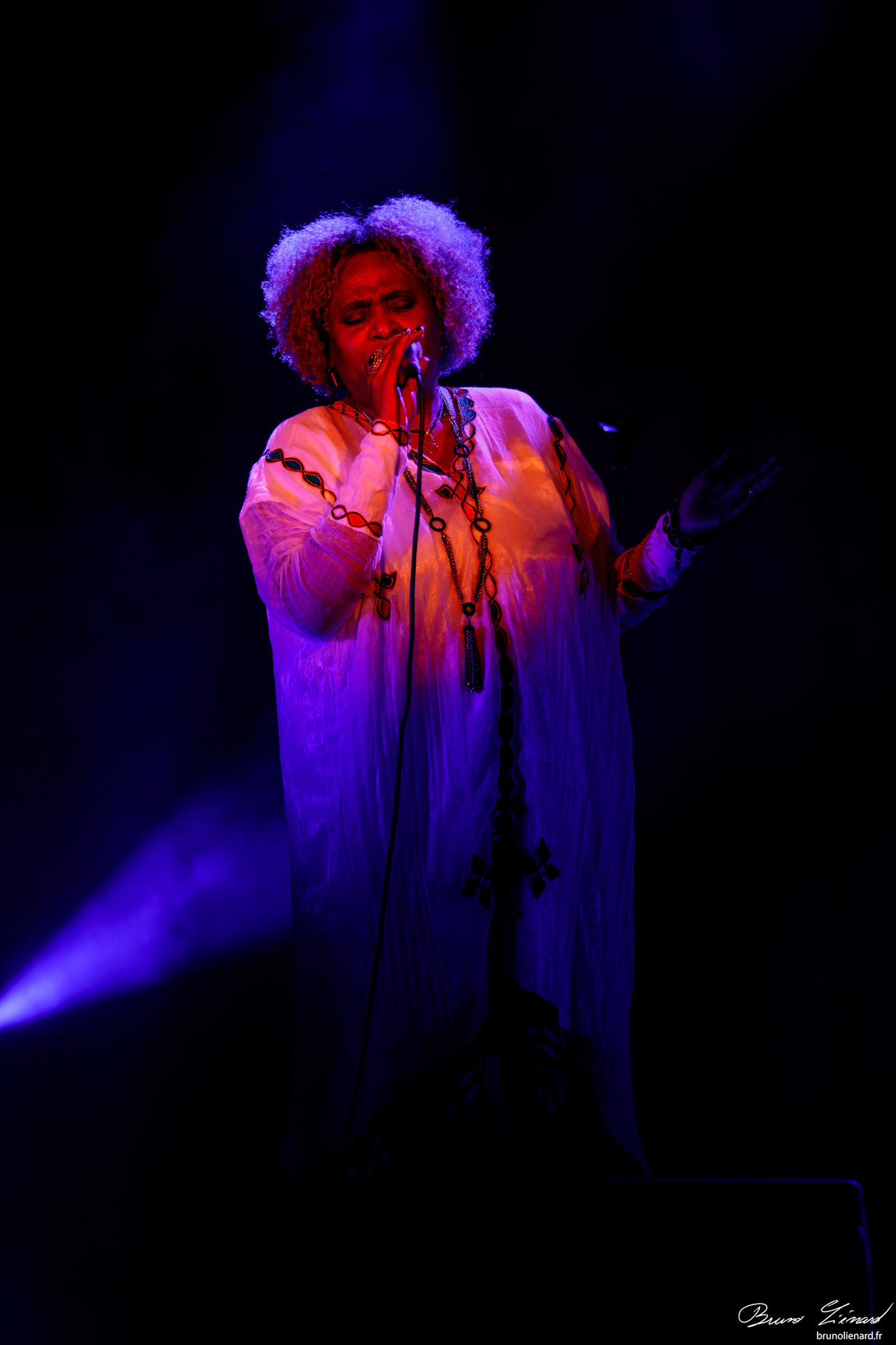Eténèsh Wassié Trio