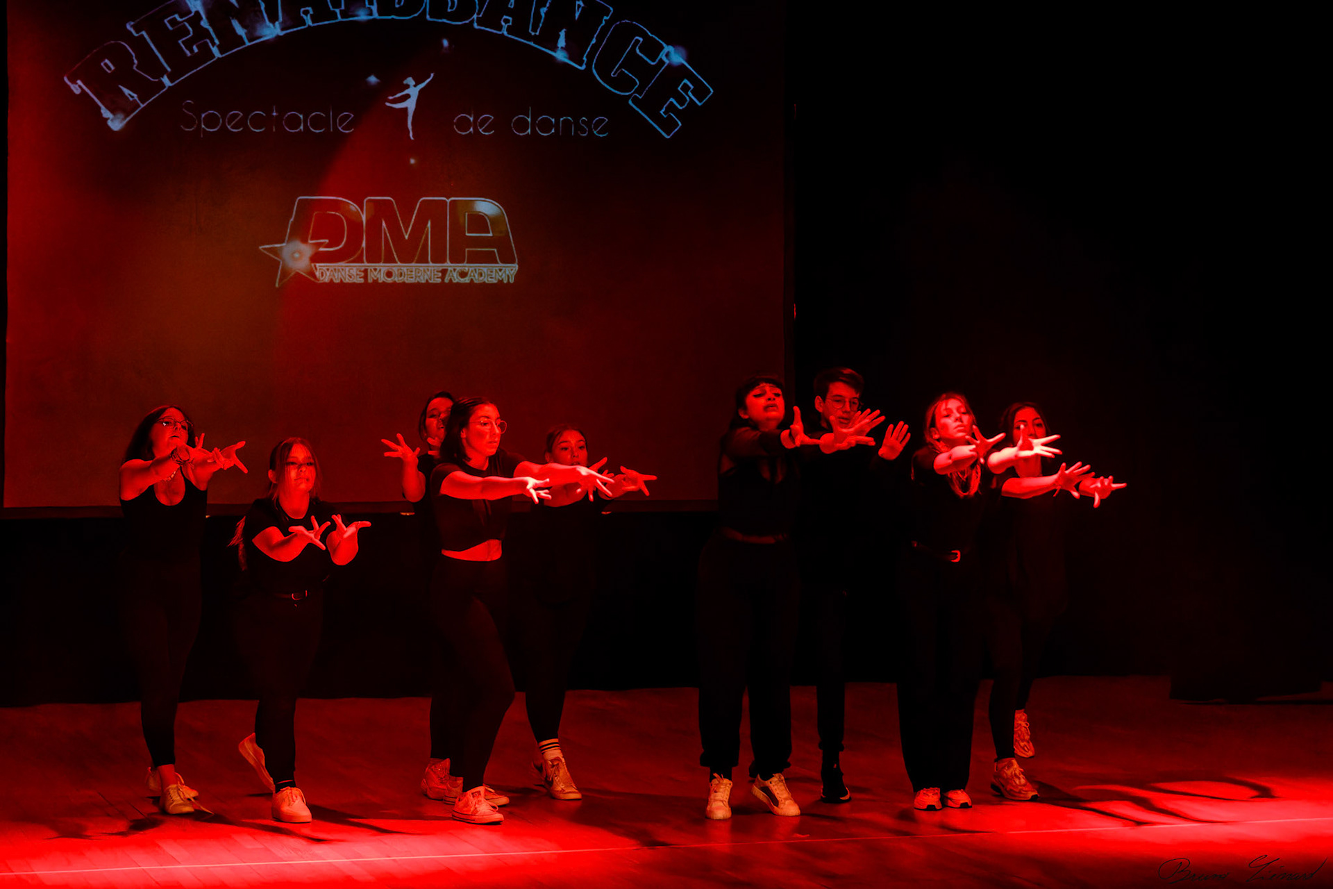 Spectacle "Renaissance" par la Danse Moderne Academy