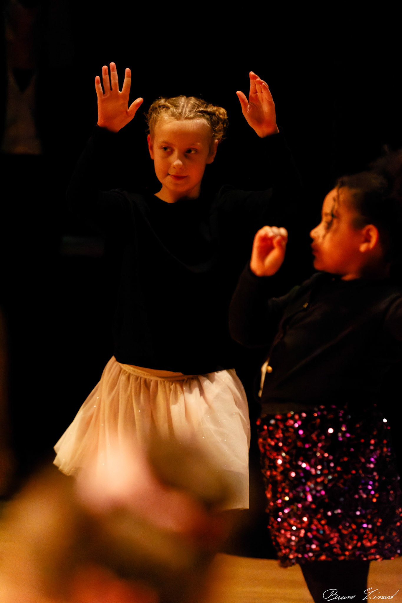 Spectacle "Renaissance" par la Danse Moderne Academy