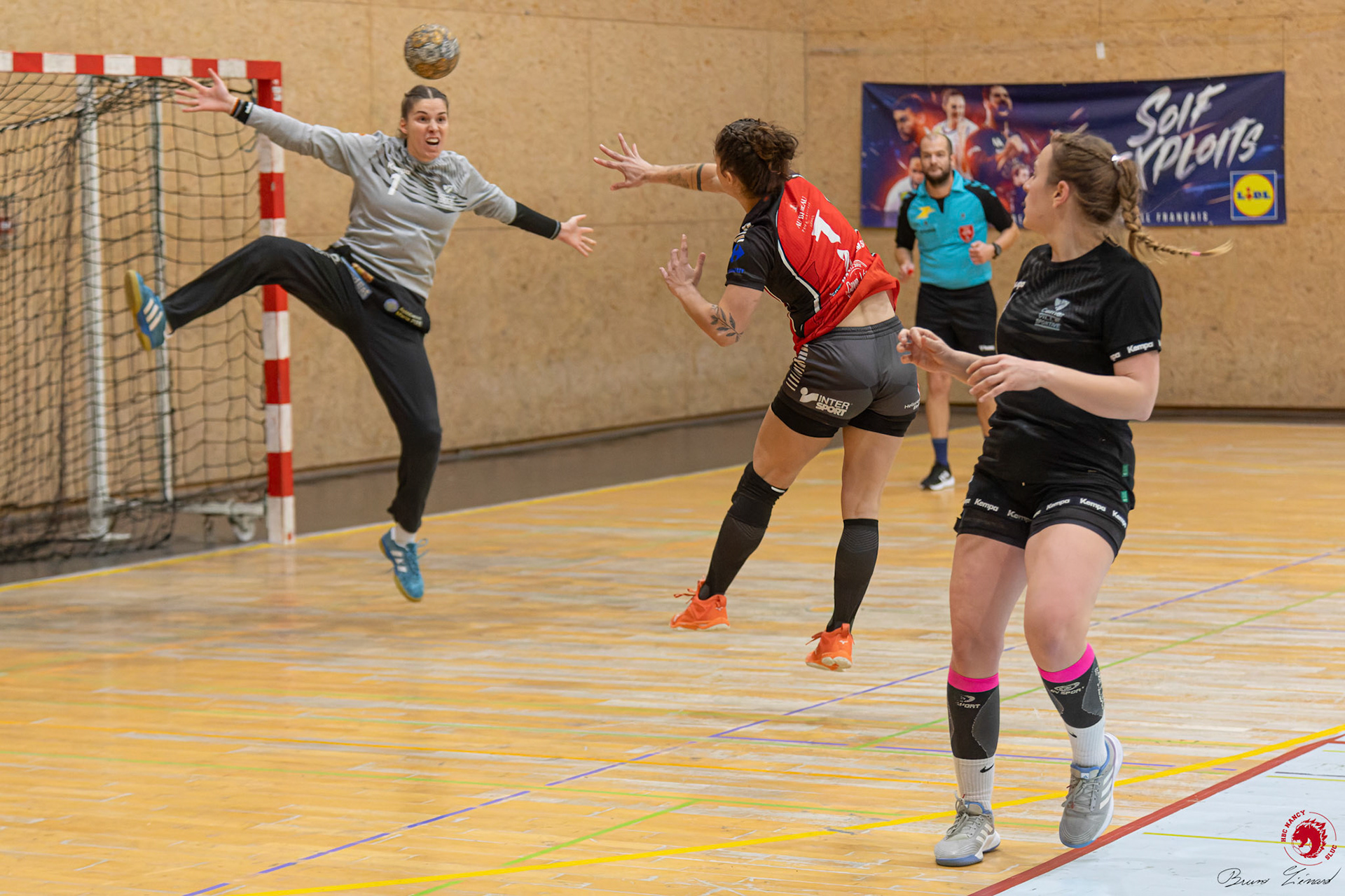 SF1 HBC SLUC Nancy - Colmar HC