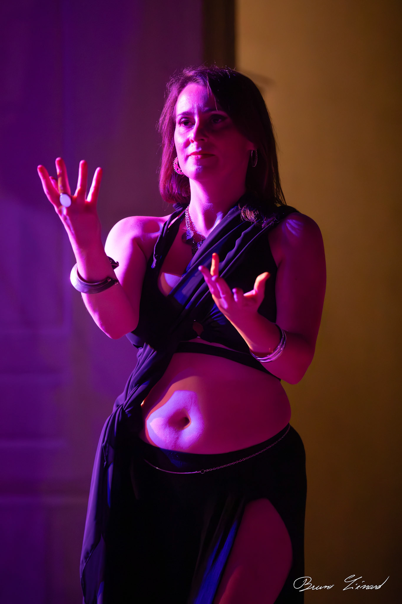 La Meute - Association Arts Vivants