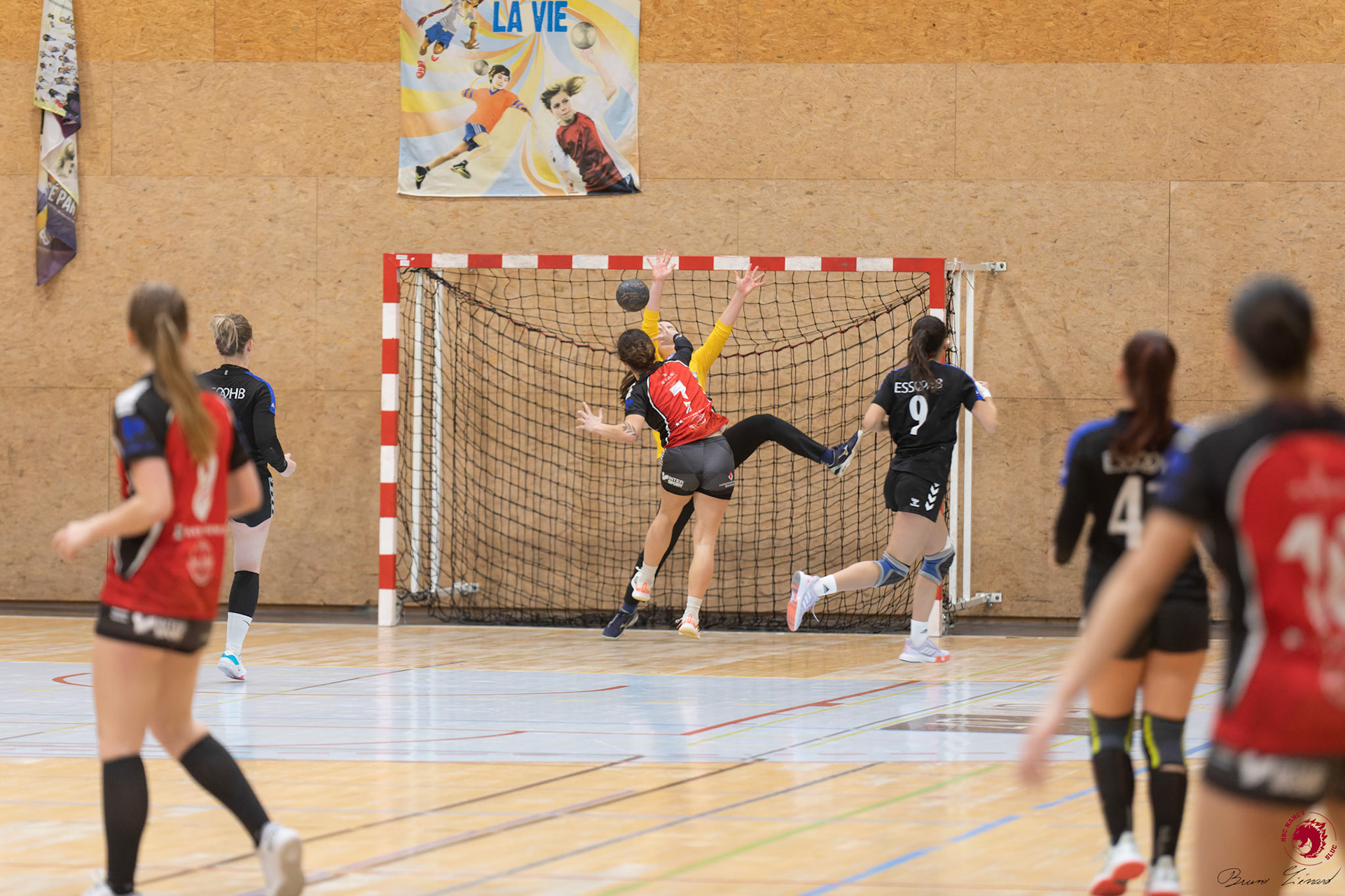 Coupe de France N3F - HBC Nancy SLUC - Strasbourg
