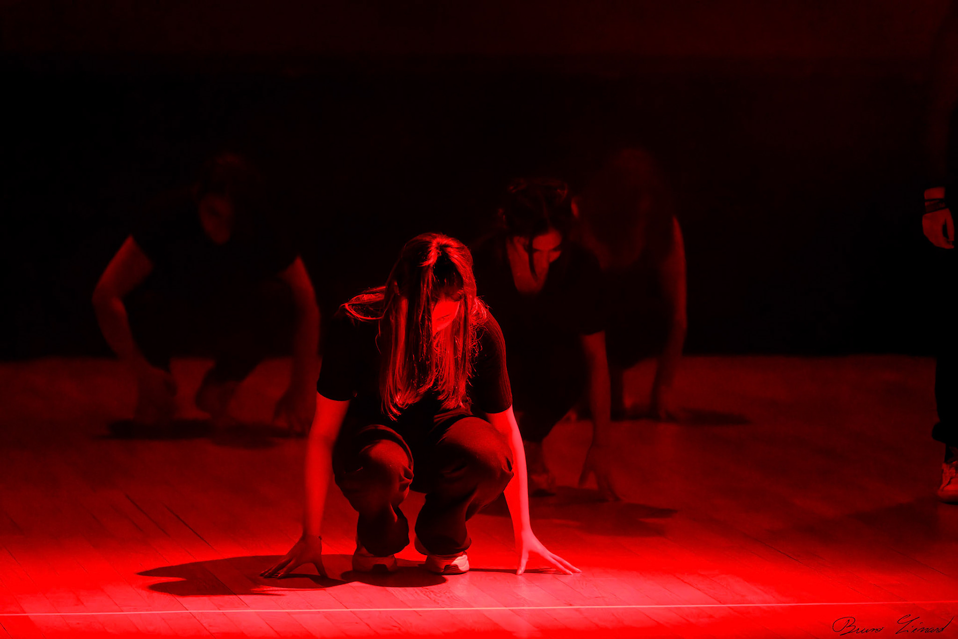 Spectacle "Renaissance" par la Danse Moderne Academy