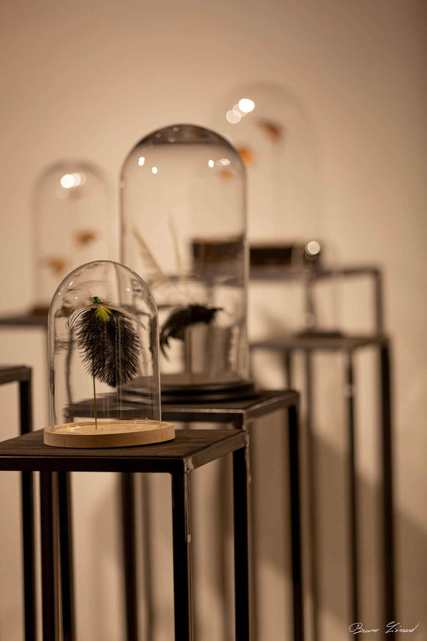 Les soleils noirs - Amandine Gollé