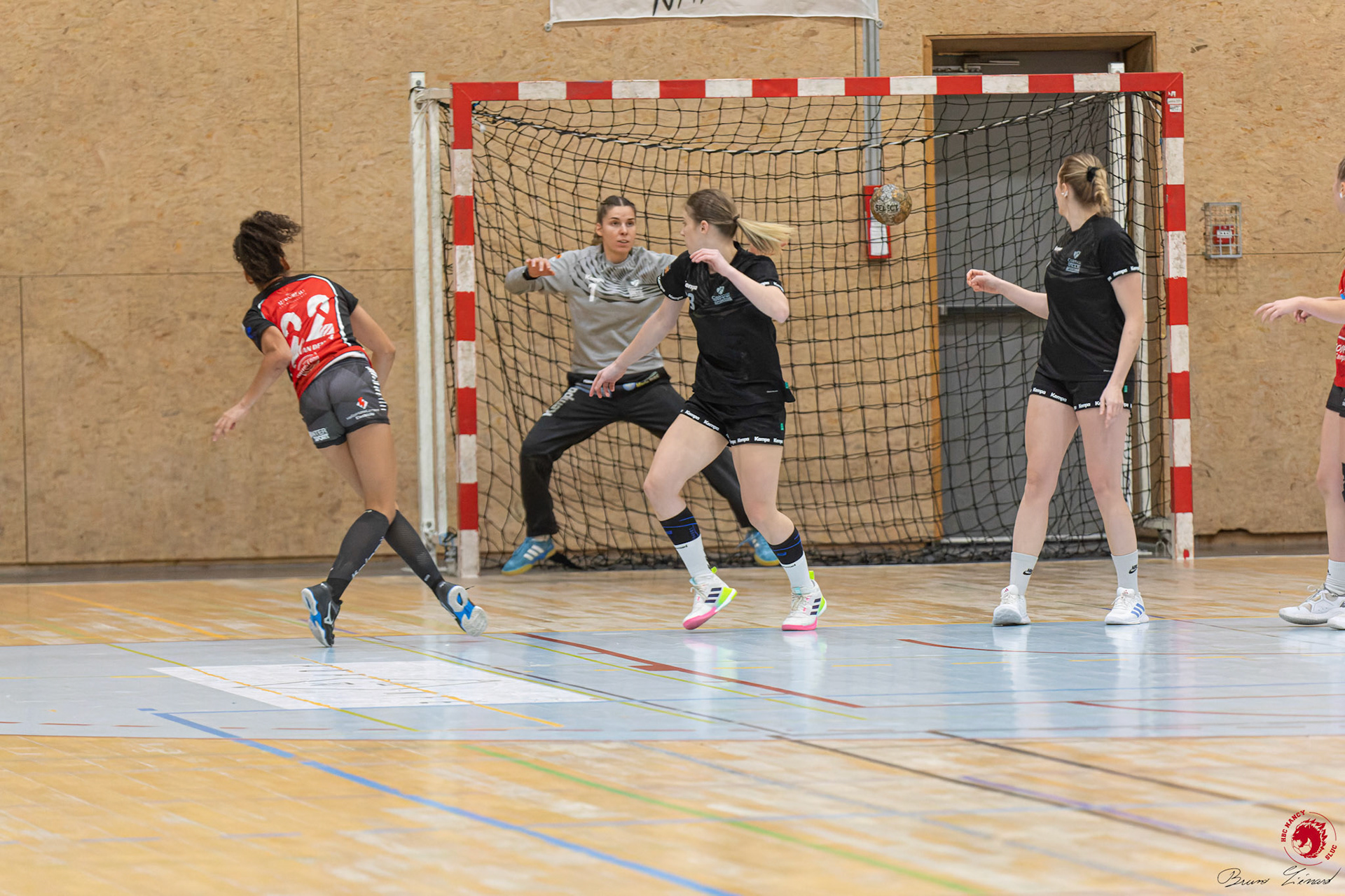 SF1 HBC SLUC Nancy - Colmar HC