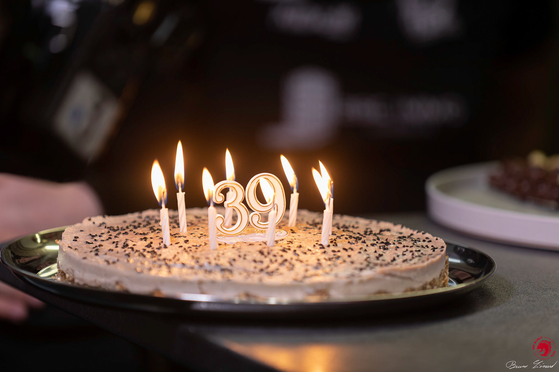 Nikola Karabatic au HBC Nancy SLUC