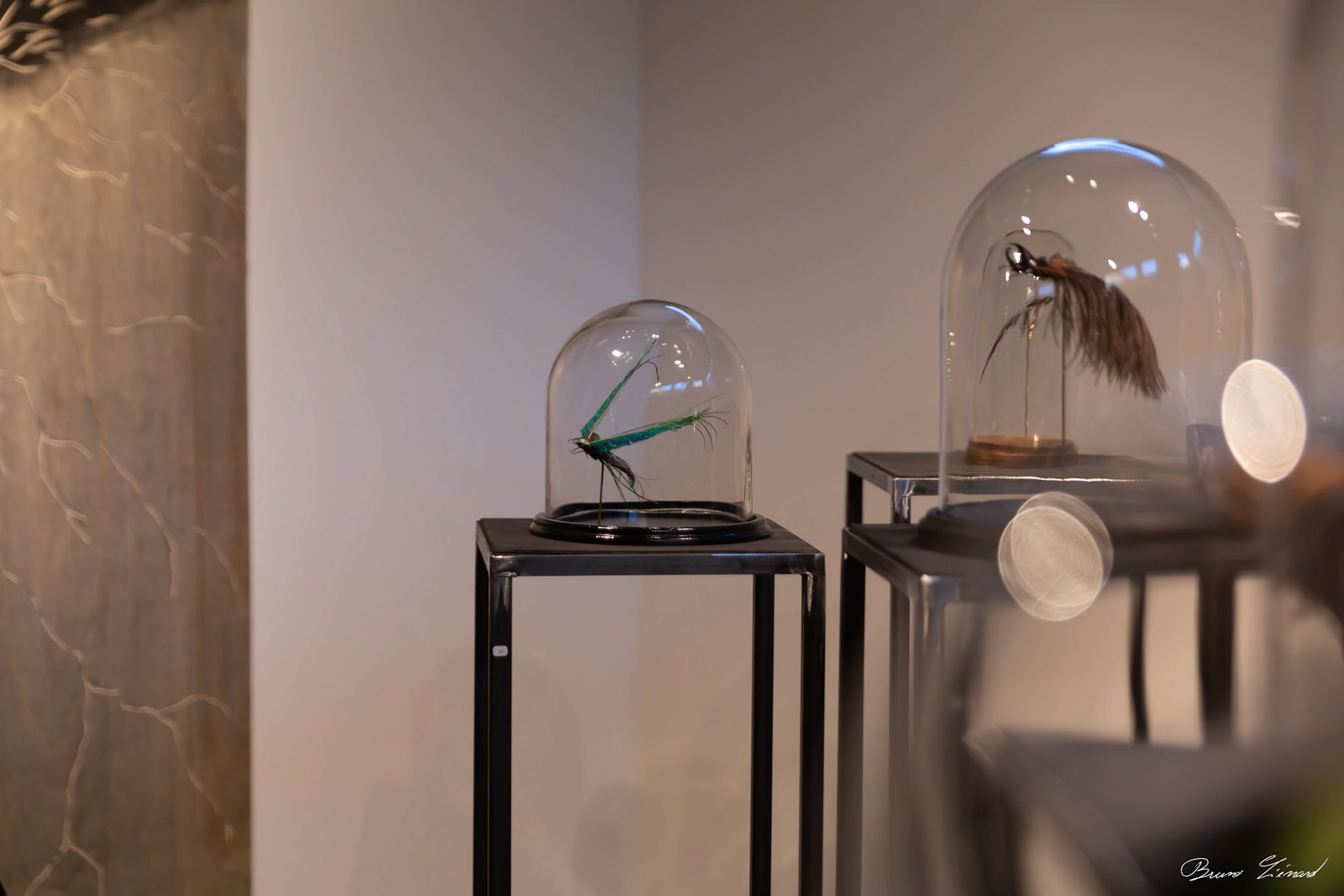 Les soleils noirs - Amandine Gollé