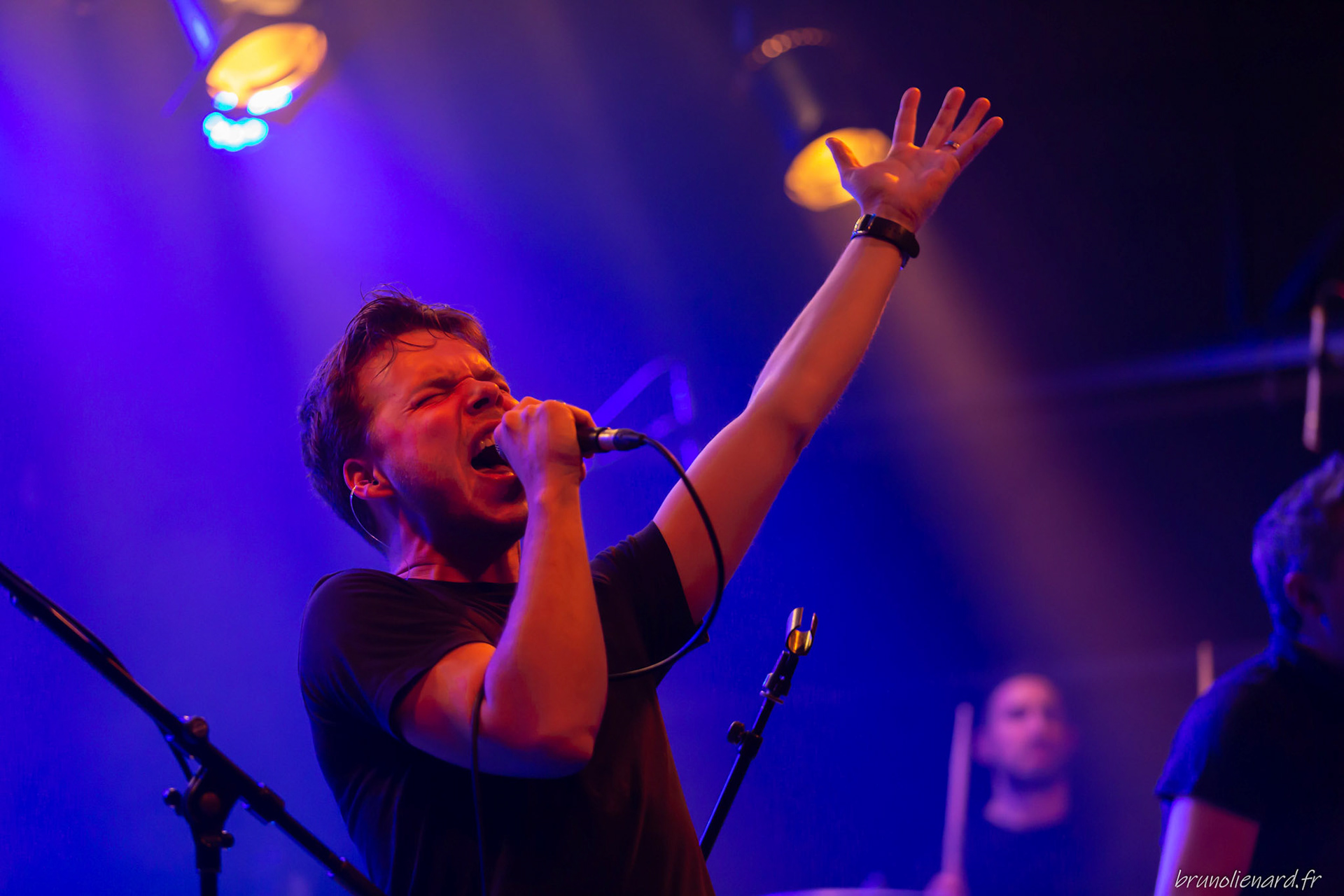 Los Disidentes del Sucio Motel