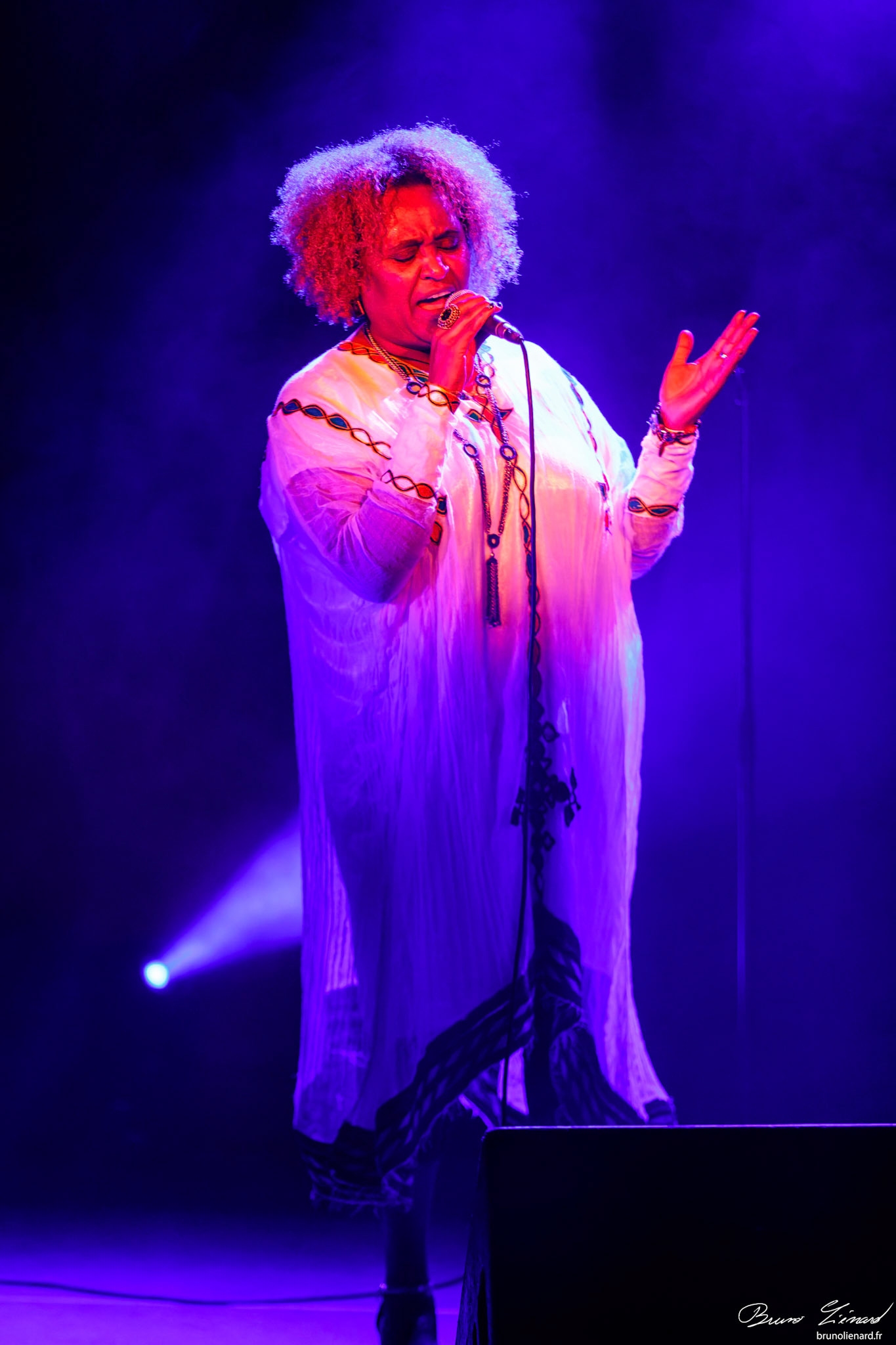 Eténèsh Wassié Trio