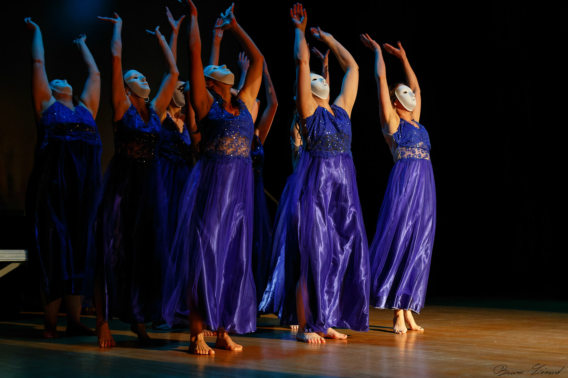 Spectacle "Renaissance" par la Danse Moderne Academy