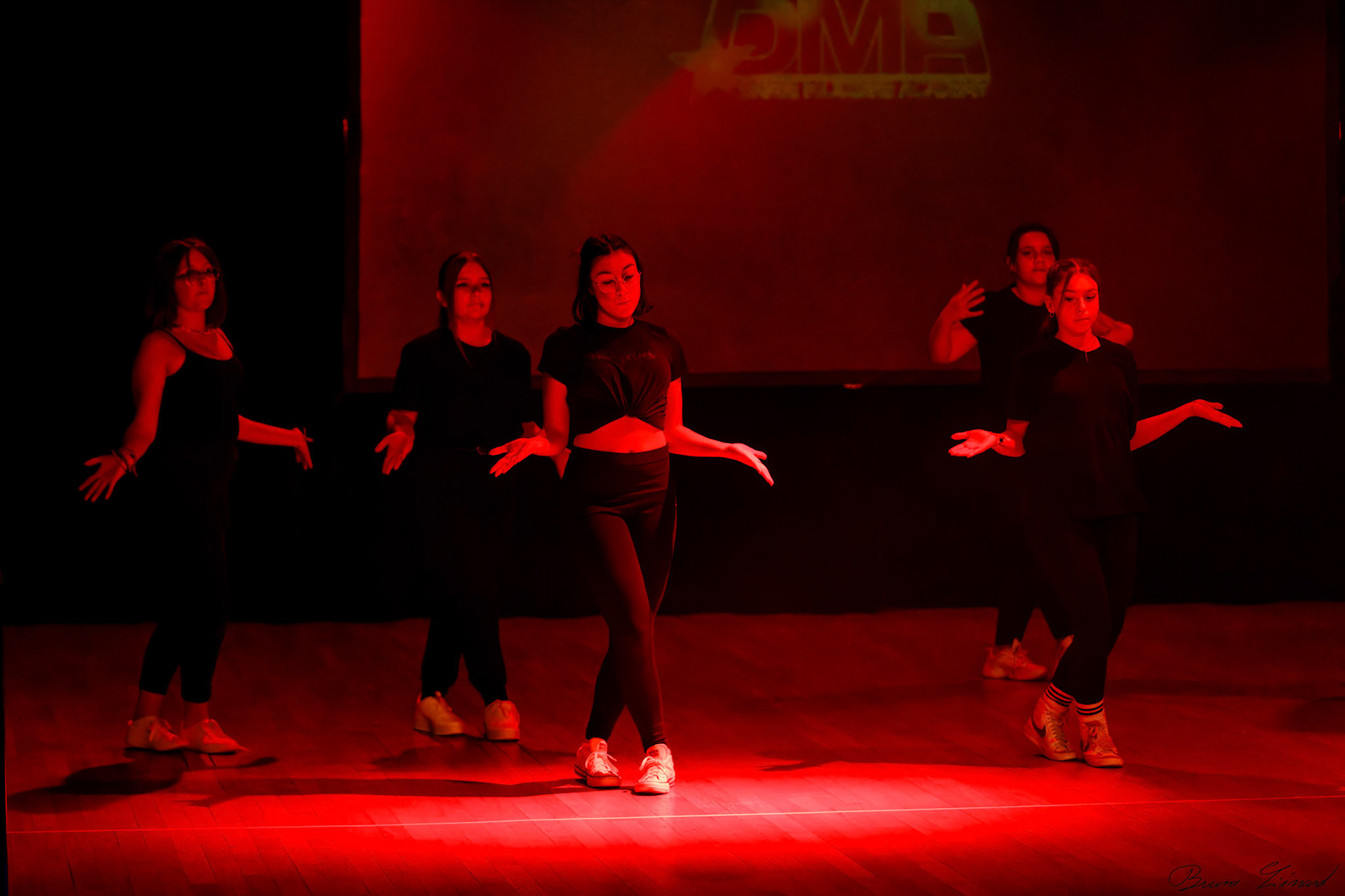 Spectacle "Renaissance" par la Danse Moderne Academy