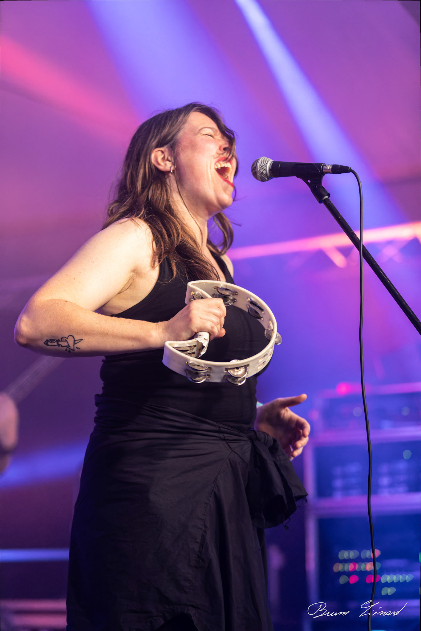 Festival Vach'De Rock 2024