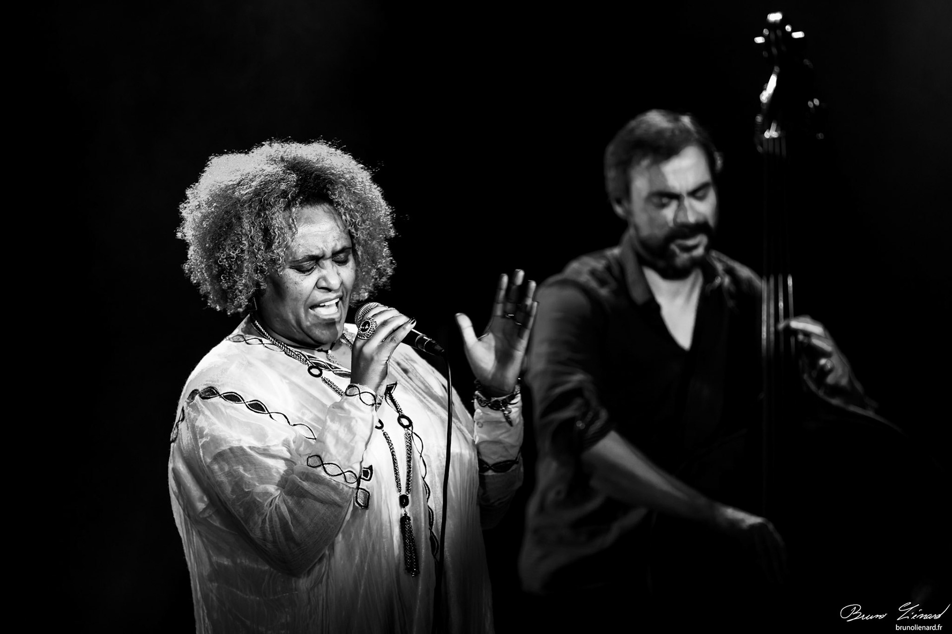 Eténèsh Wassié Trio