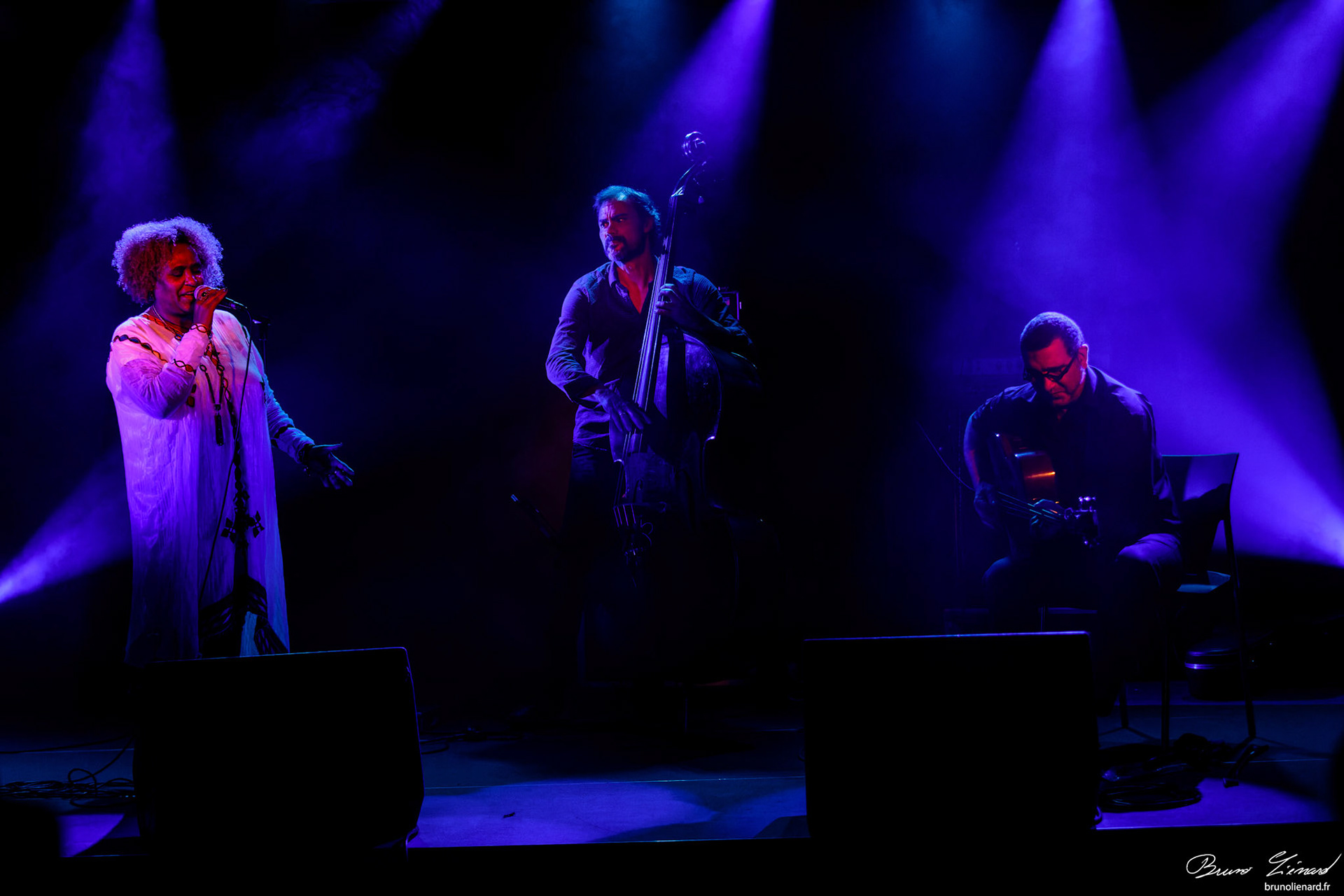 Eténèsh Wassié Trio
