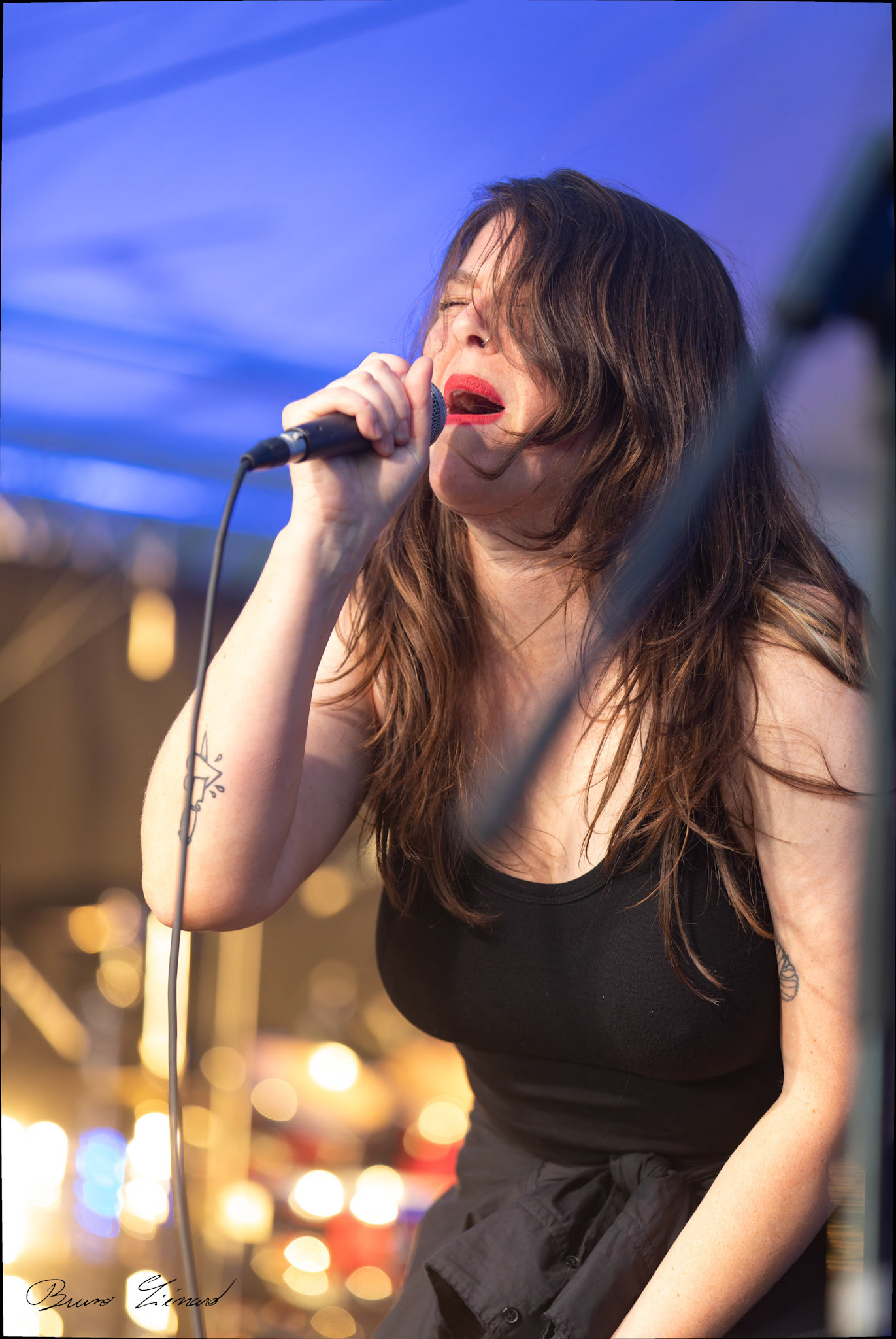 Festival Vach'De Rock 2024