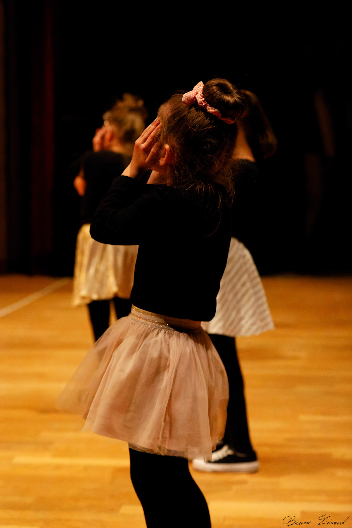 Spectacle "Renaissance" par la Danse Moderne Academy