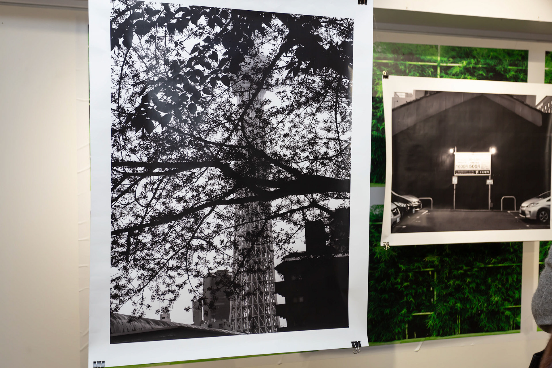 Exposition : "Derrière le rideau" par Olivier Braizat