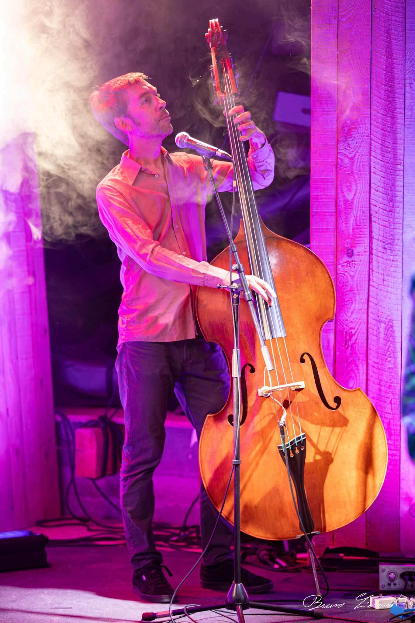 Mesdames à La Machinchoserie