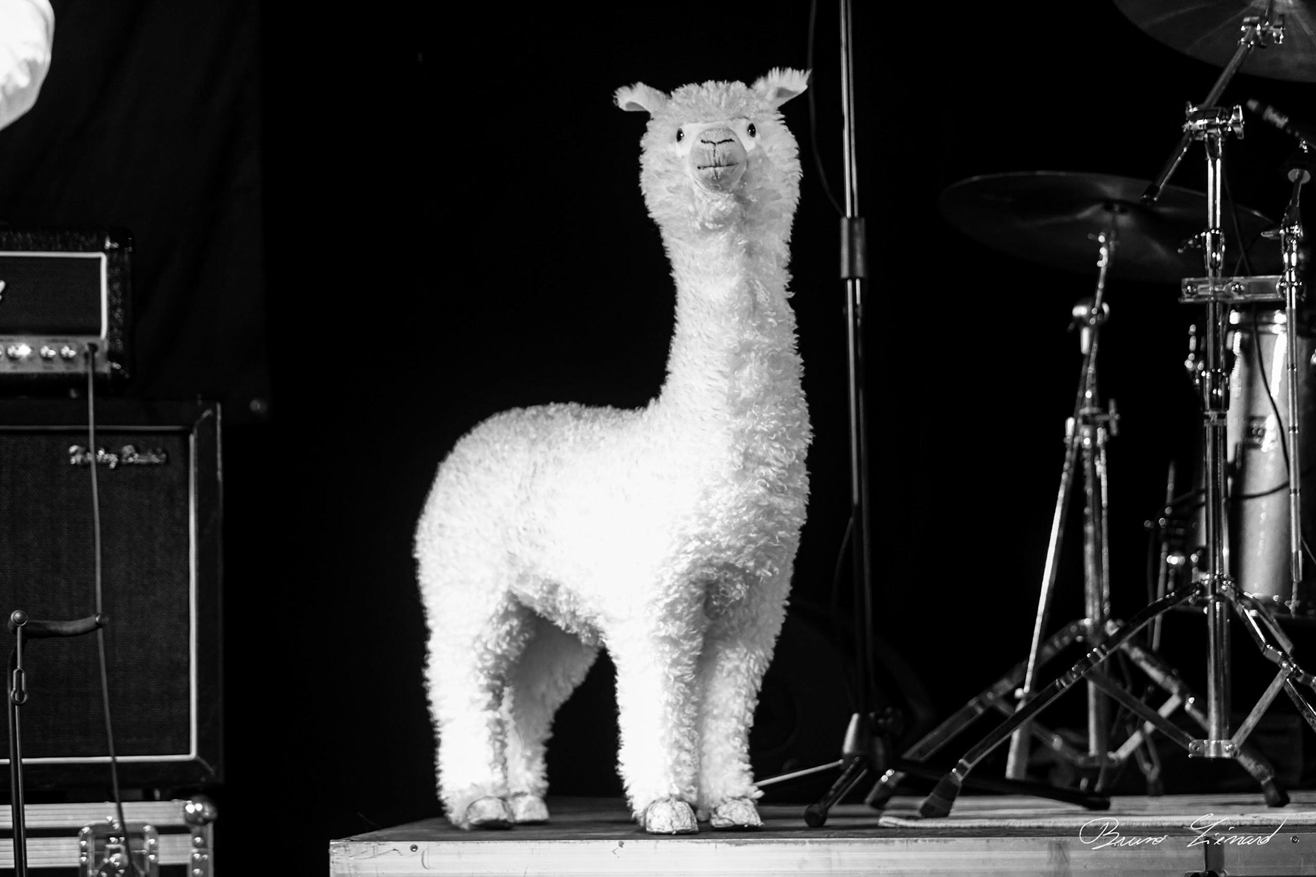 Festival Vach' De Rock 2022