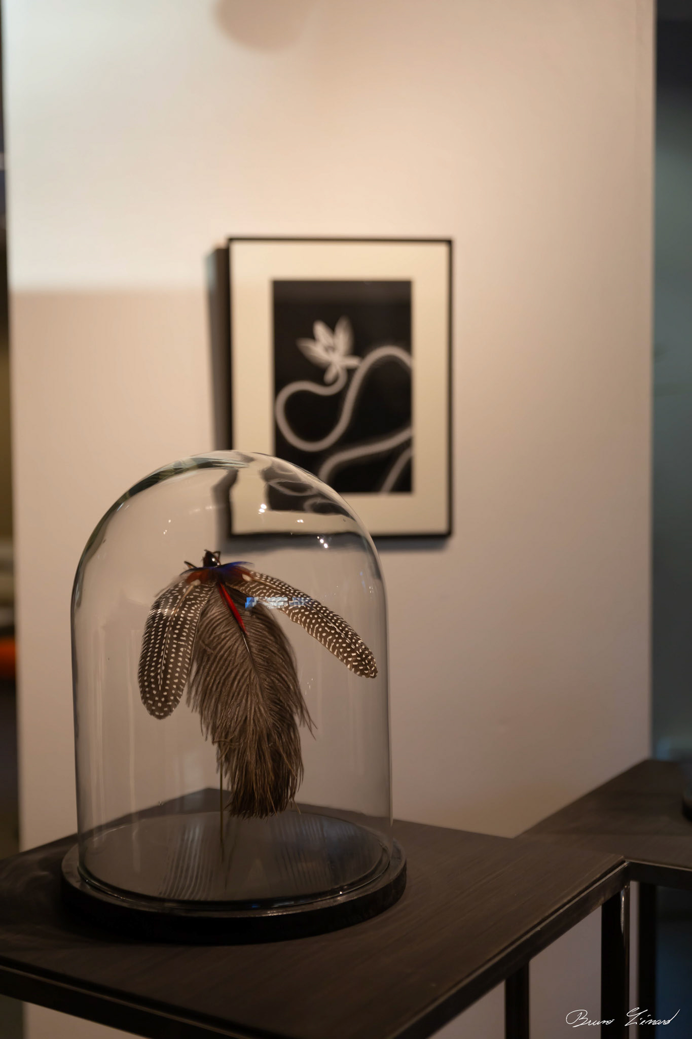 Les soleils noirs - Amandine Gollé