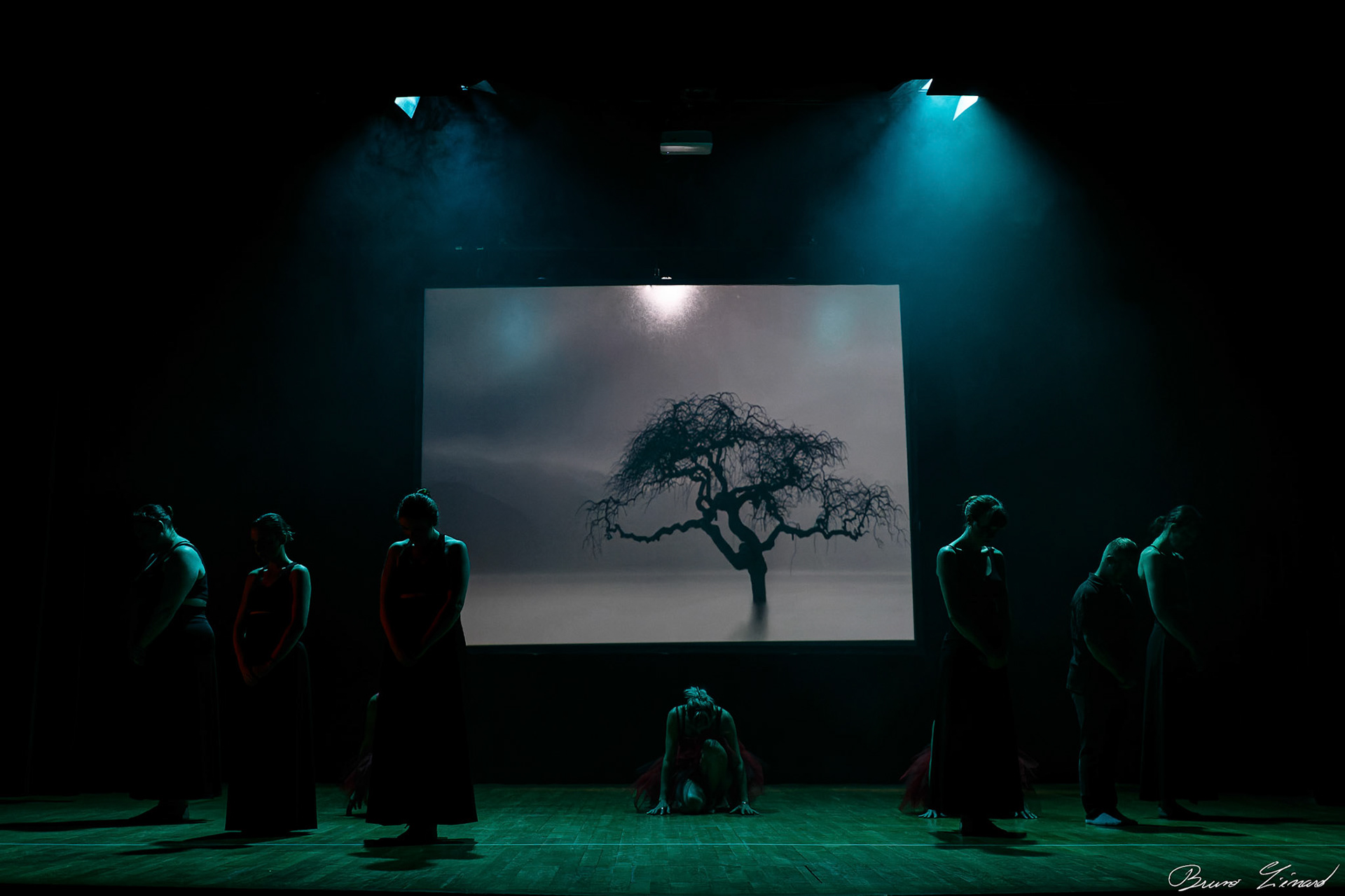 Répétitions DMA Sol Y Dance