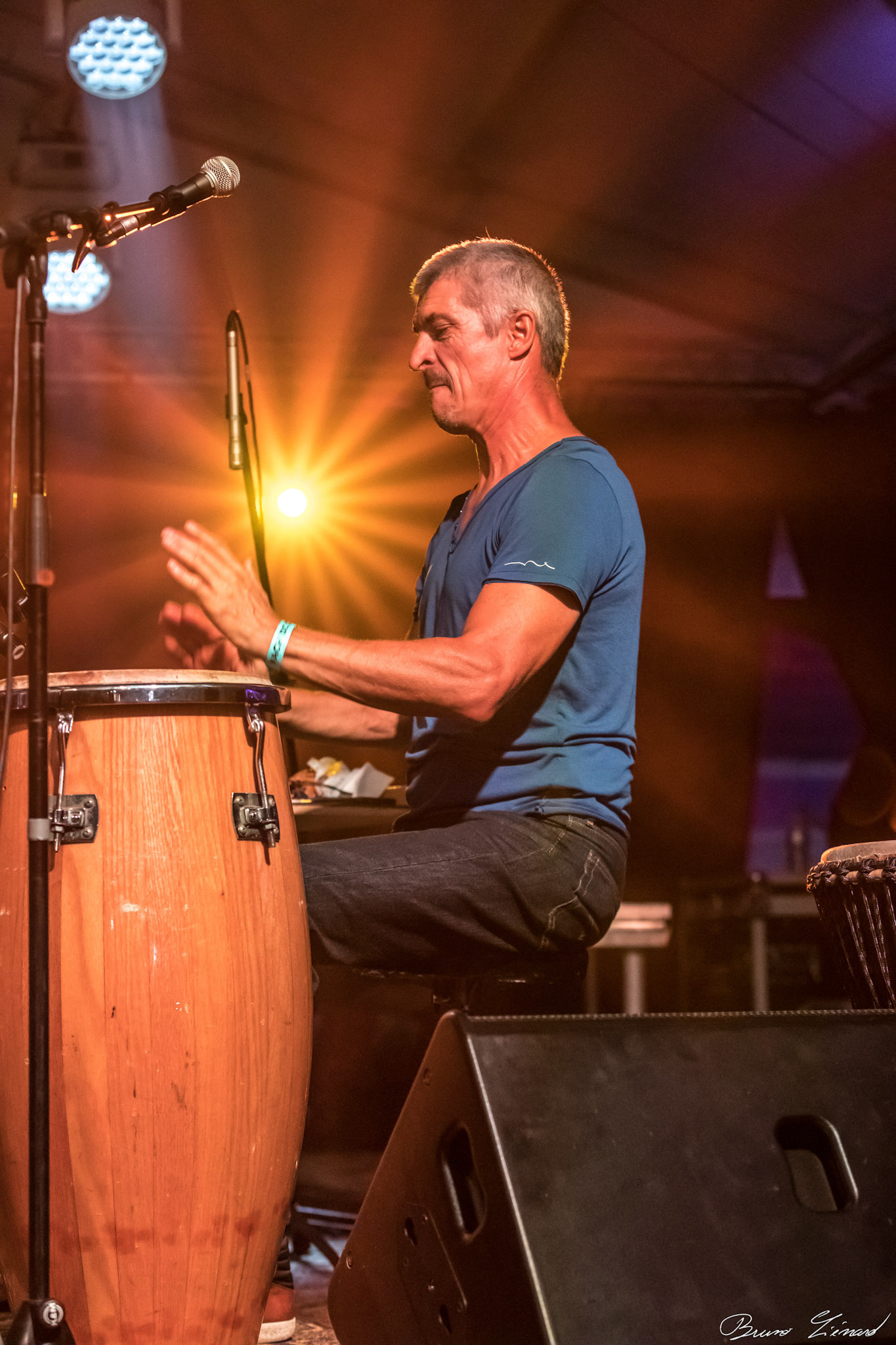 Festival Vach'De Rock #12