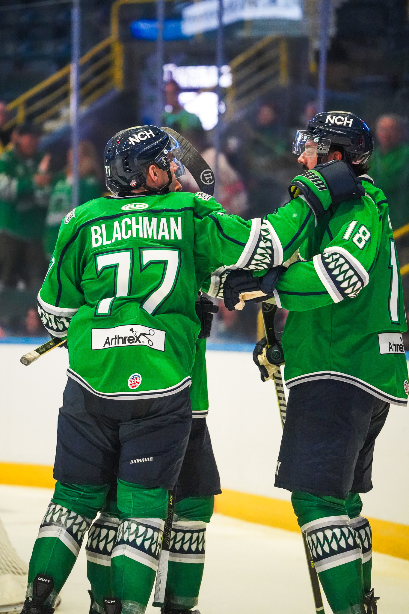 Nico Blachman scores in his first game after returning to the Florida Everblades