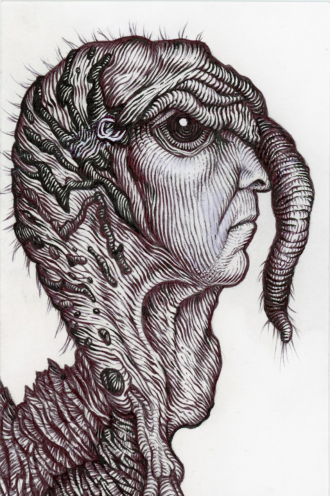 "Turkey Neck Self-Portrait", ballpoint pen on bristol board