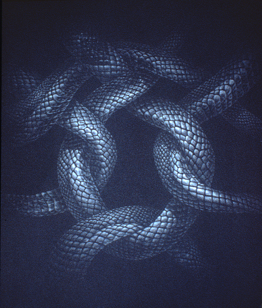 "Snake Knot", graphite on black paper, 30" x 22"
