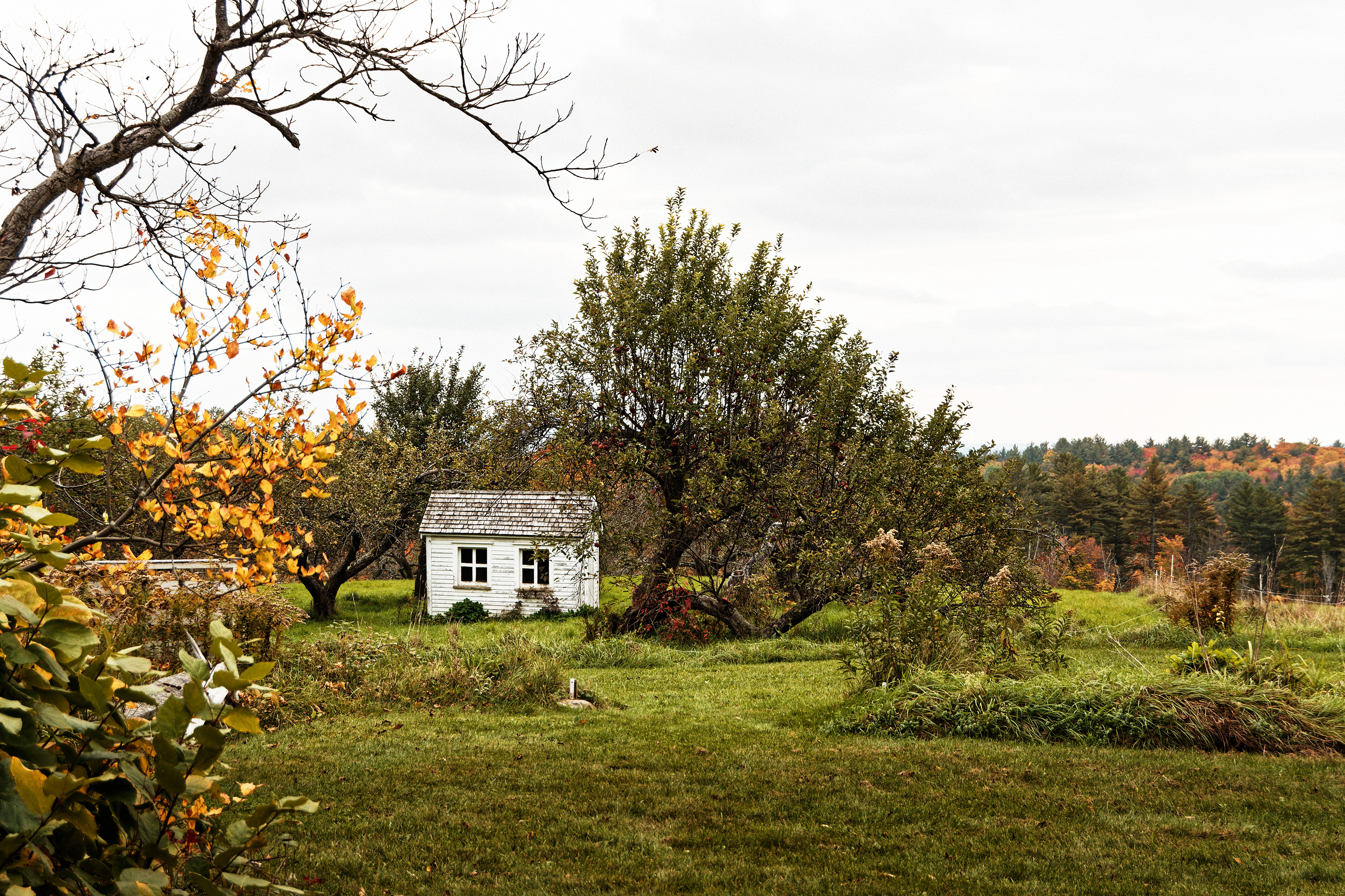 The Ministry Privy (outhouse) near the garden