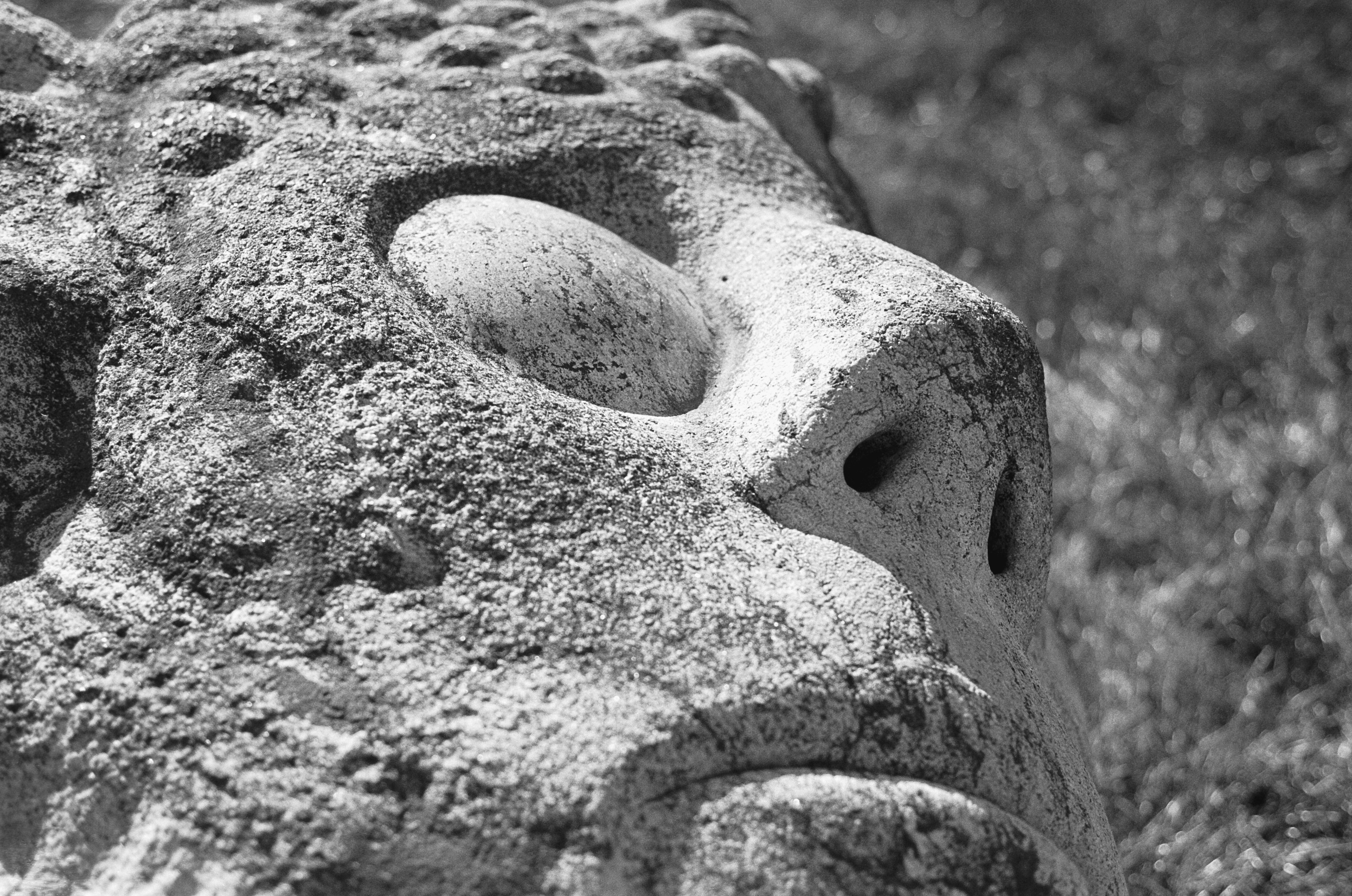 Large outdoor sculpture of man's face