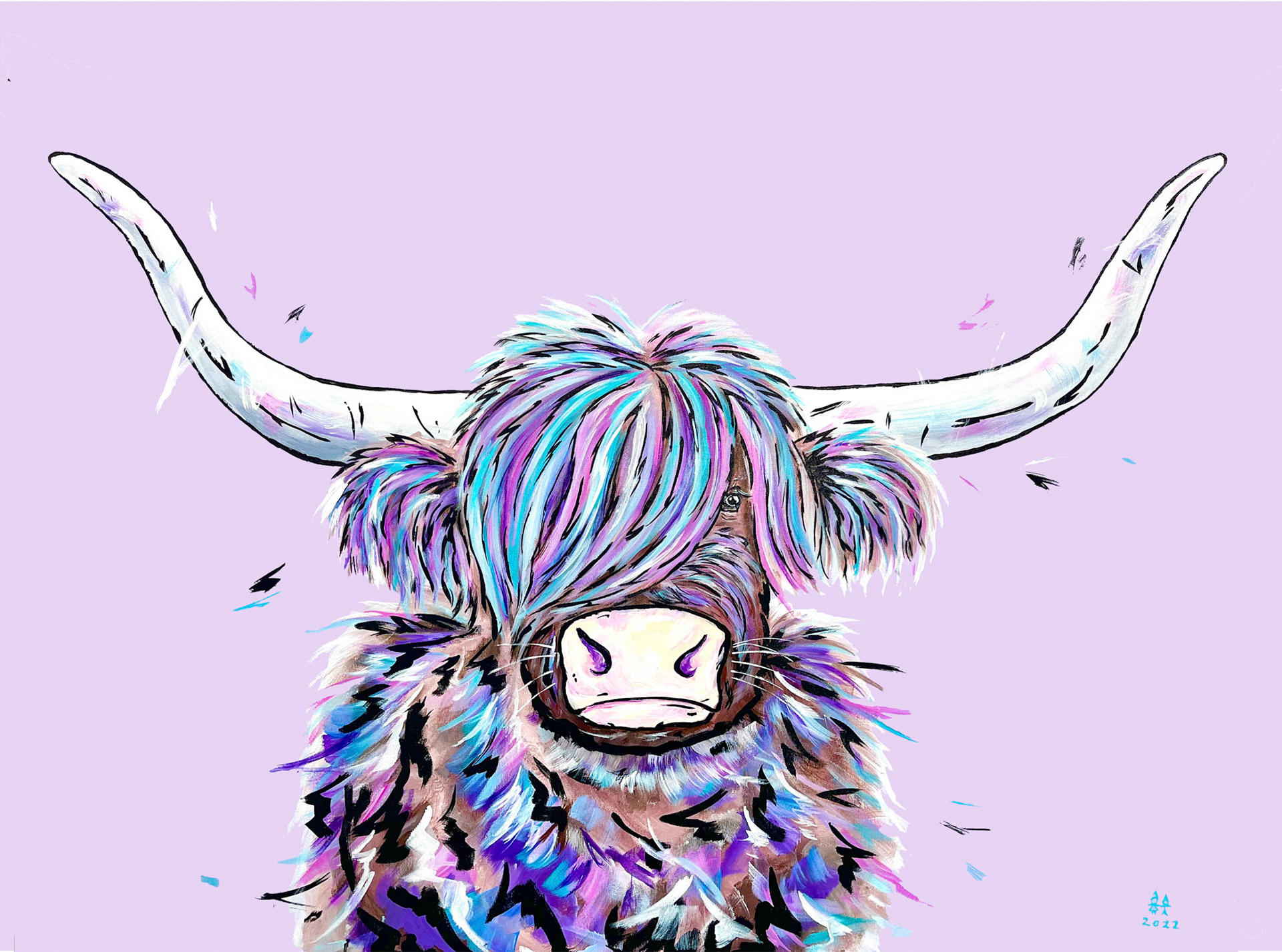 Daisy the Highland Coo