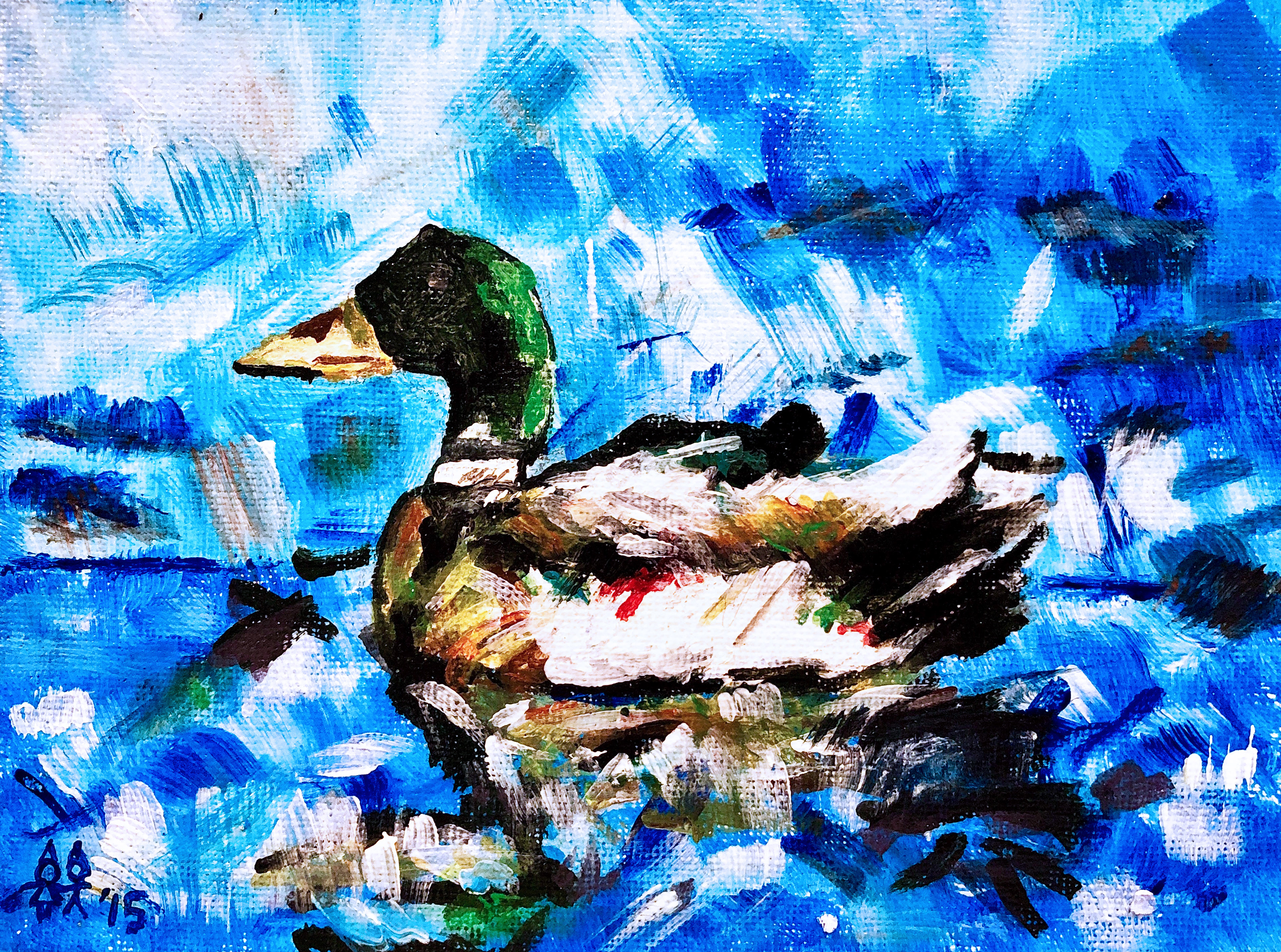 A Duck