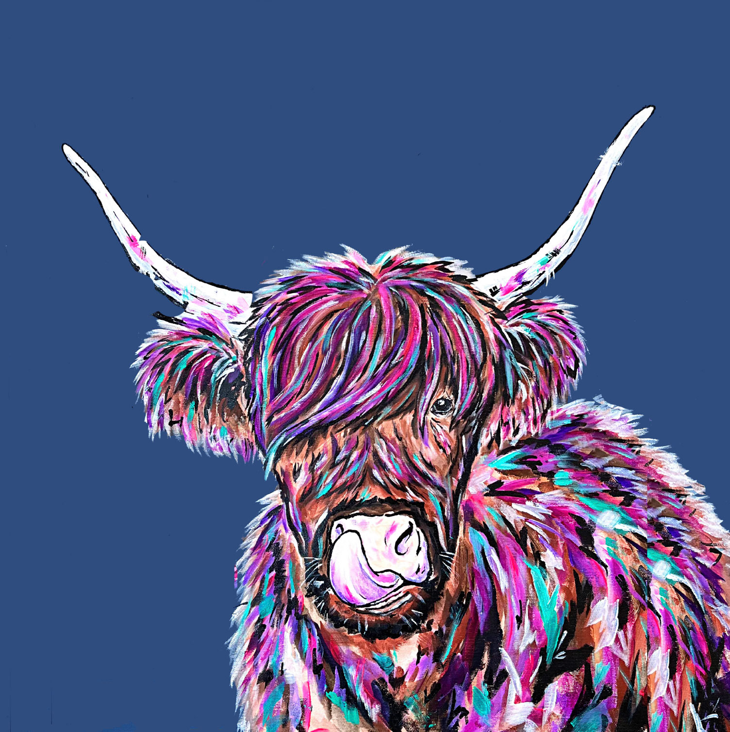 Dougal the Highland Coo