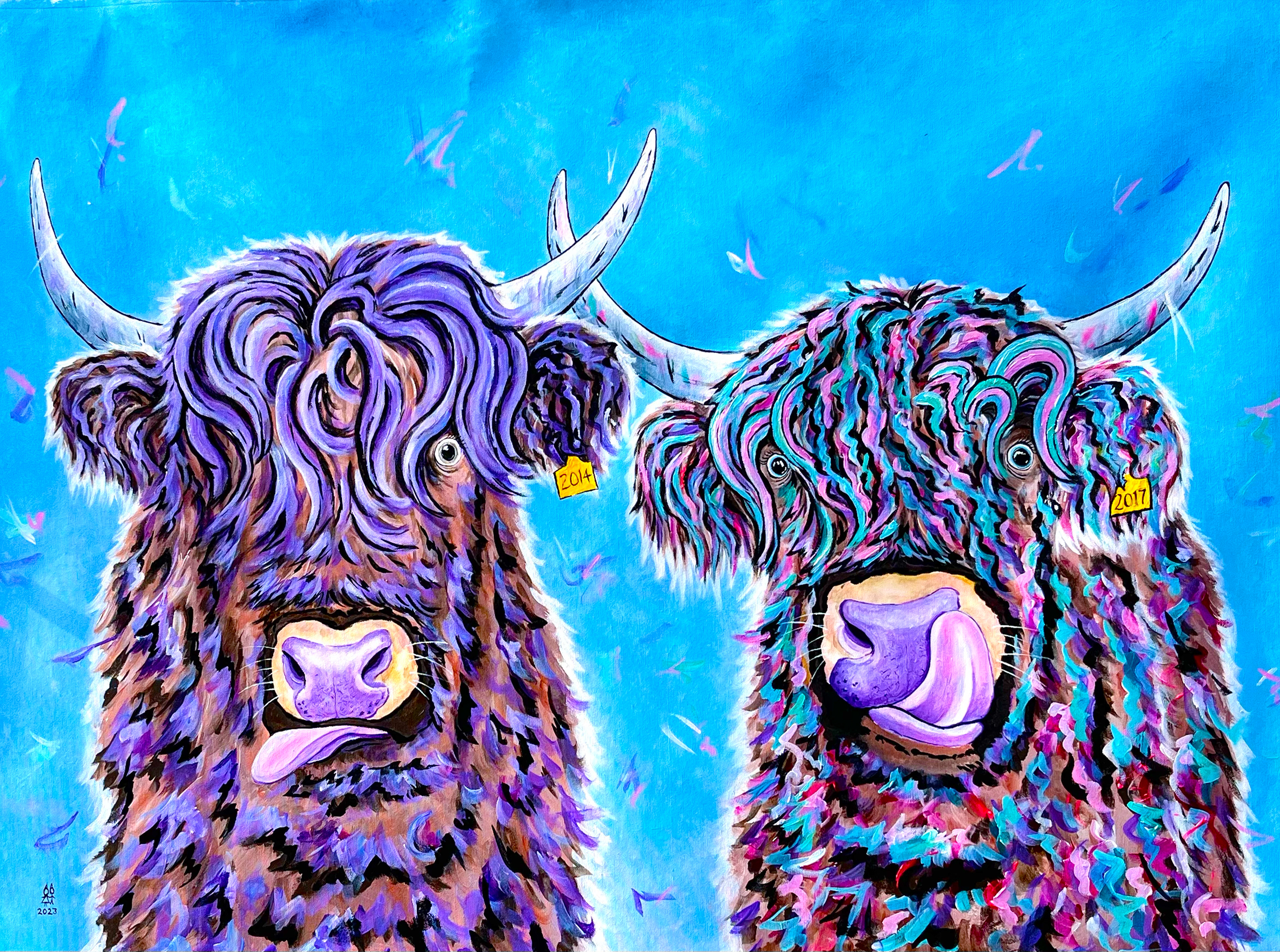 Lewis & Harris, the Highland Coo's