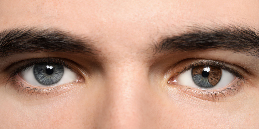 Gray Eyes