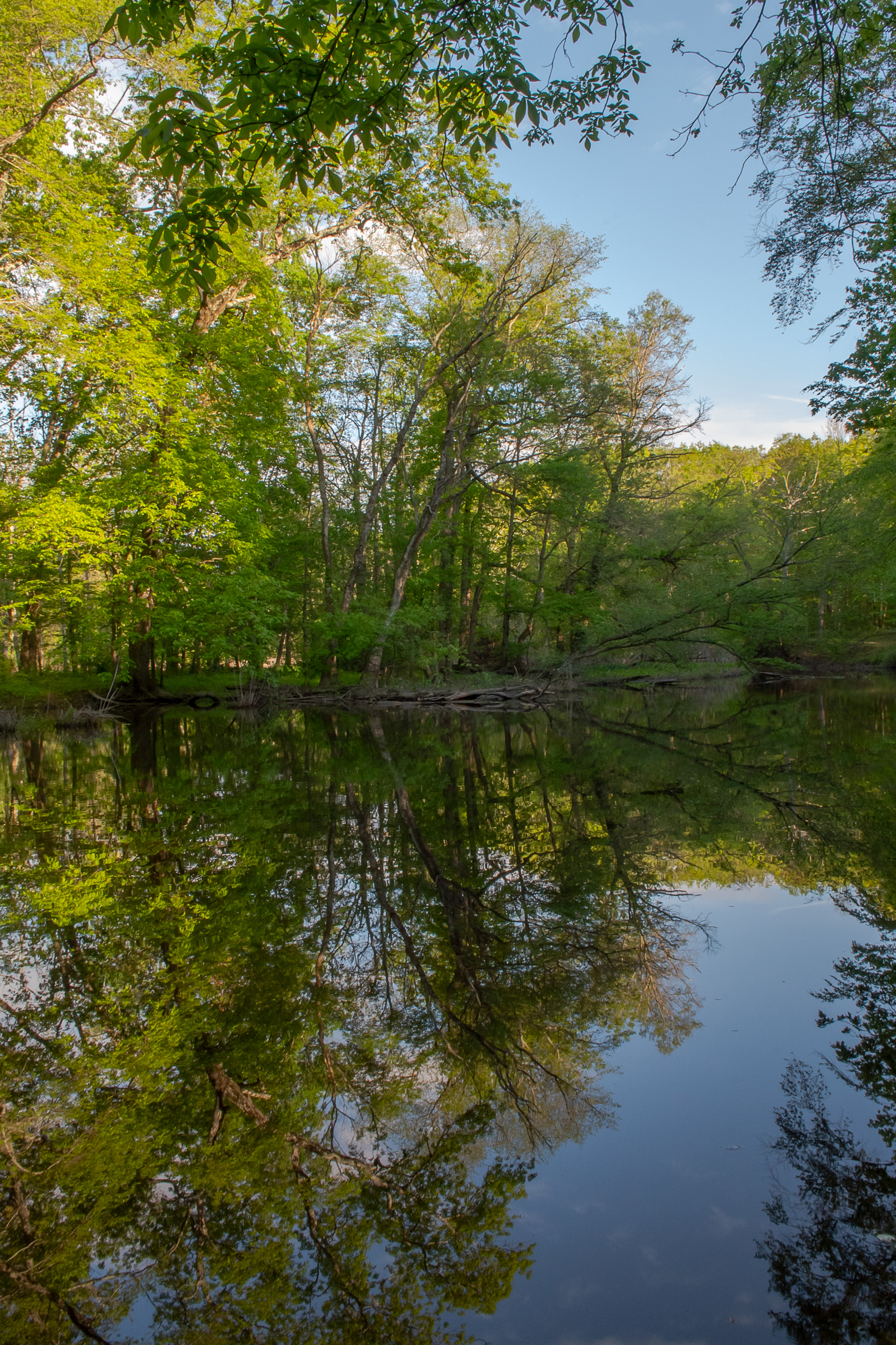 Passaic River May 7, 2025 Stirling, NJ USA