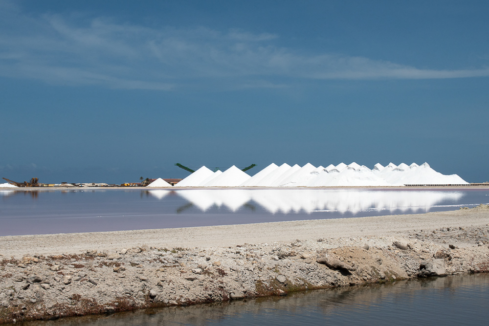 Salt Harvesting Plant Aug 15, 2025 Bonaire