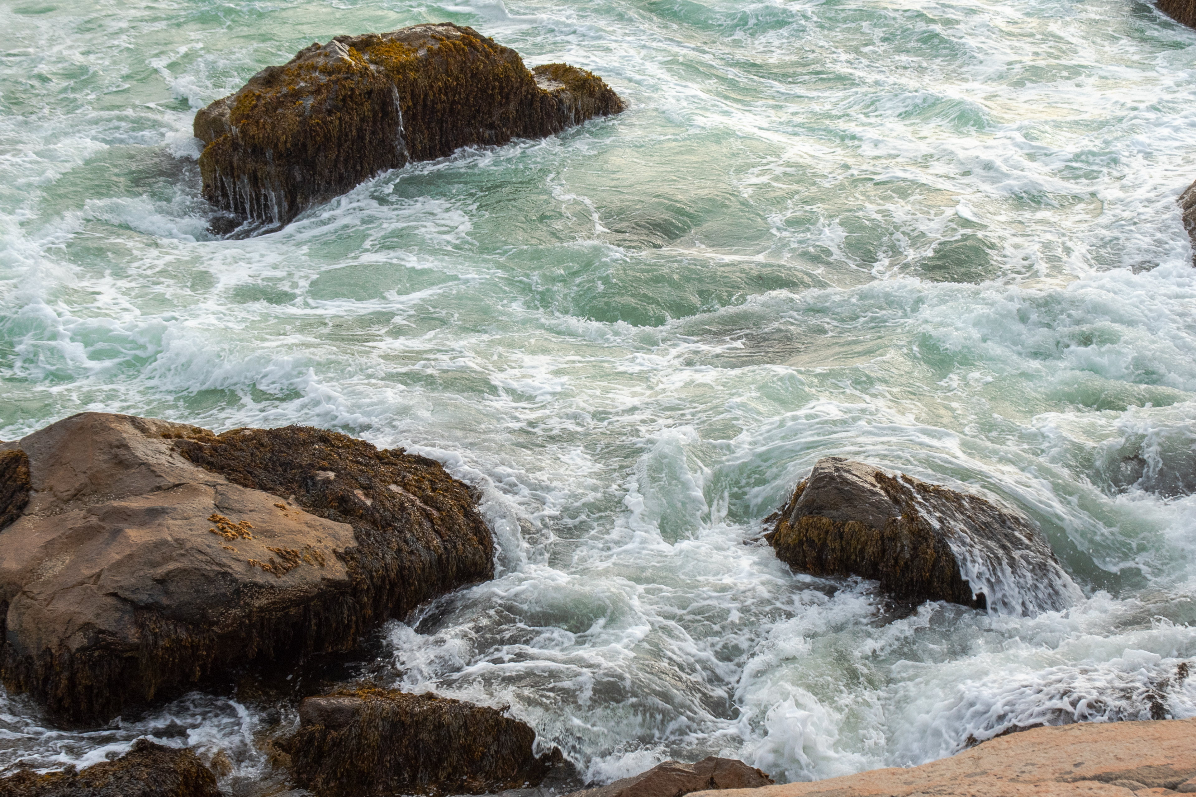 Shoreline Sept 6, 2022 Schoodic Point, ME USA