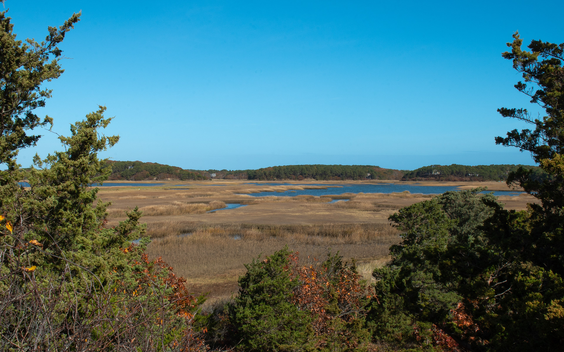 Wellfleet Bay Nov 5, 2022 Wellfleet Bay WS, MA USA