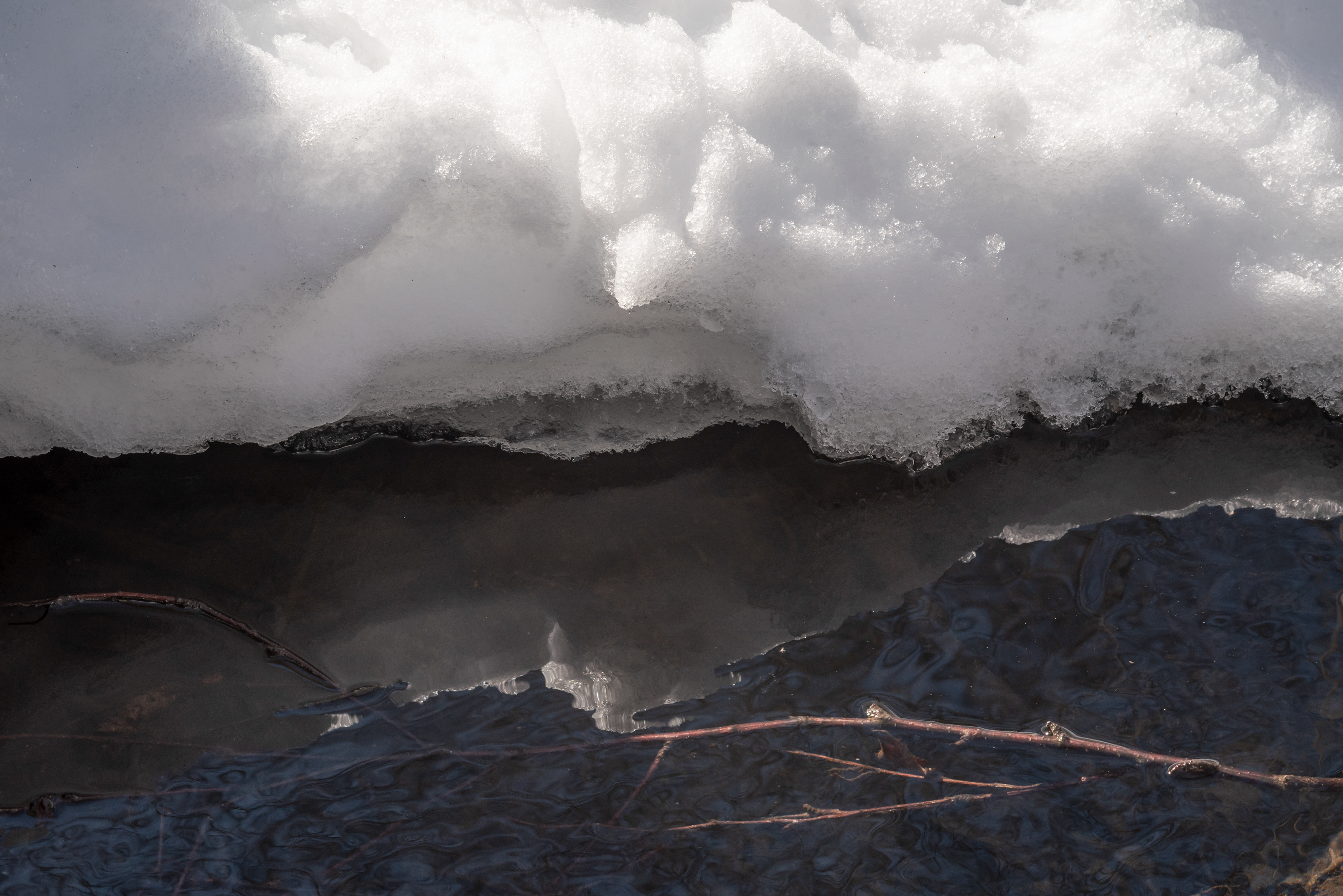 Snow Reflection Feb 24, 2021 Muriel Hepner Park, NJ USA